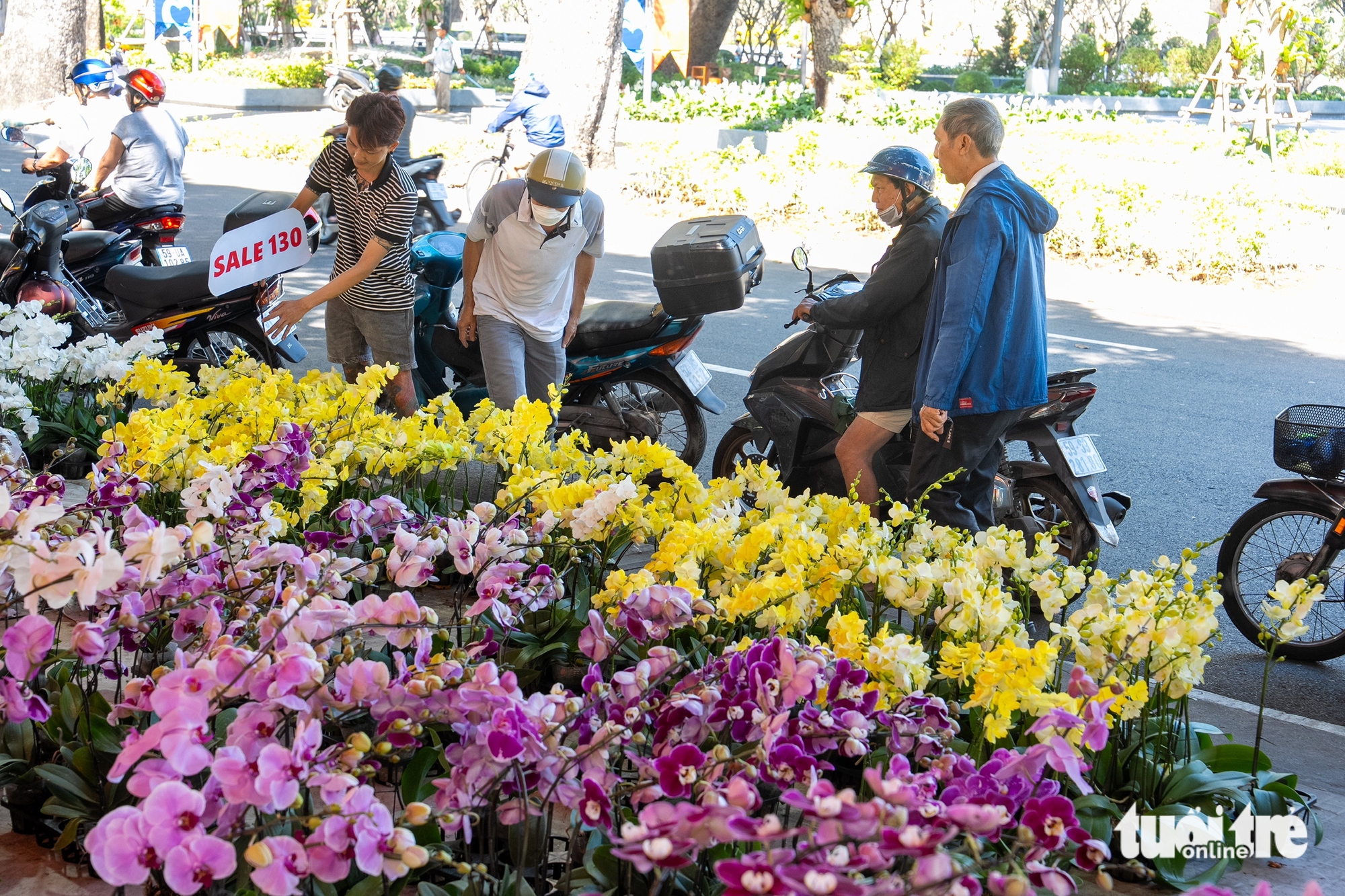 29 Tết rực nắng, hoa Tết TP.HCM đồng loạt hạ giá - Ảnh 6.
