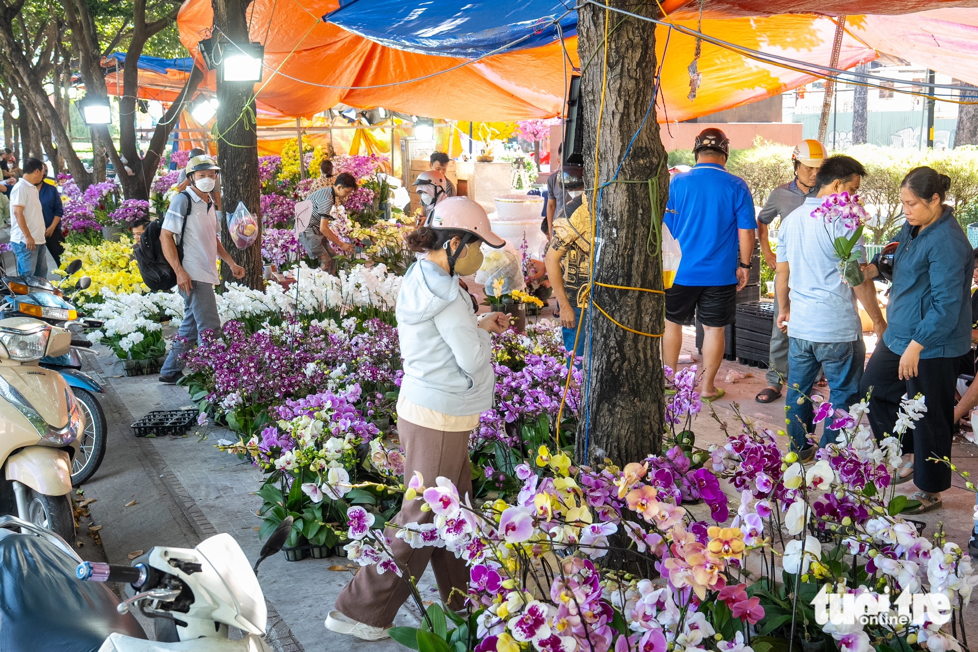 chợ hoa - Ảnh 7.