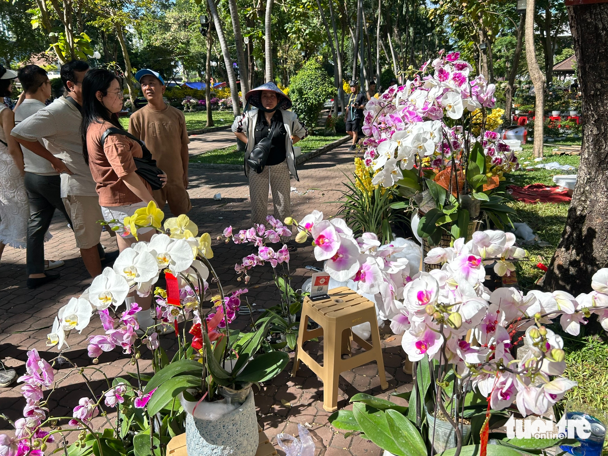 29 Tết rực nắng, hoa Tết TP.HCM đồng loạt hạ giá - Ảnh 10.