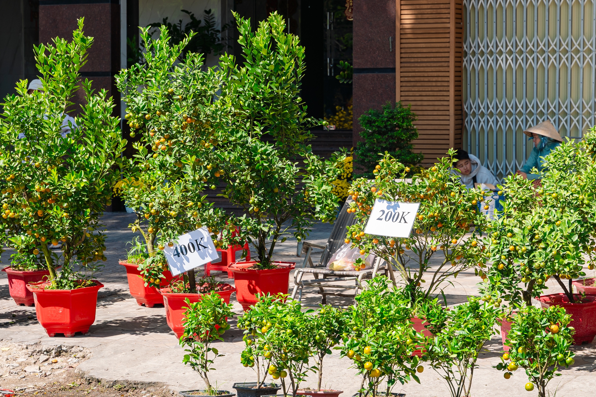 Trưa 29 Tết: Tiểu thương bán vội, khách mua nhanh, chợ hoa TP.HCM nhộn nhịp phút cuối- Ảnh 13.