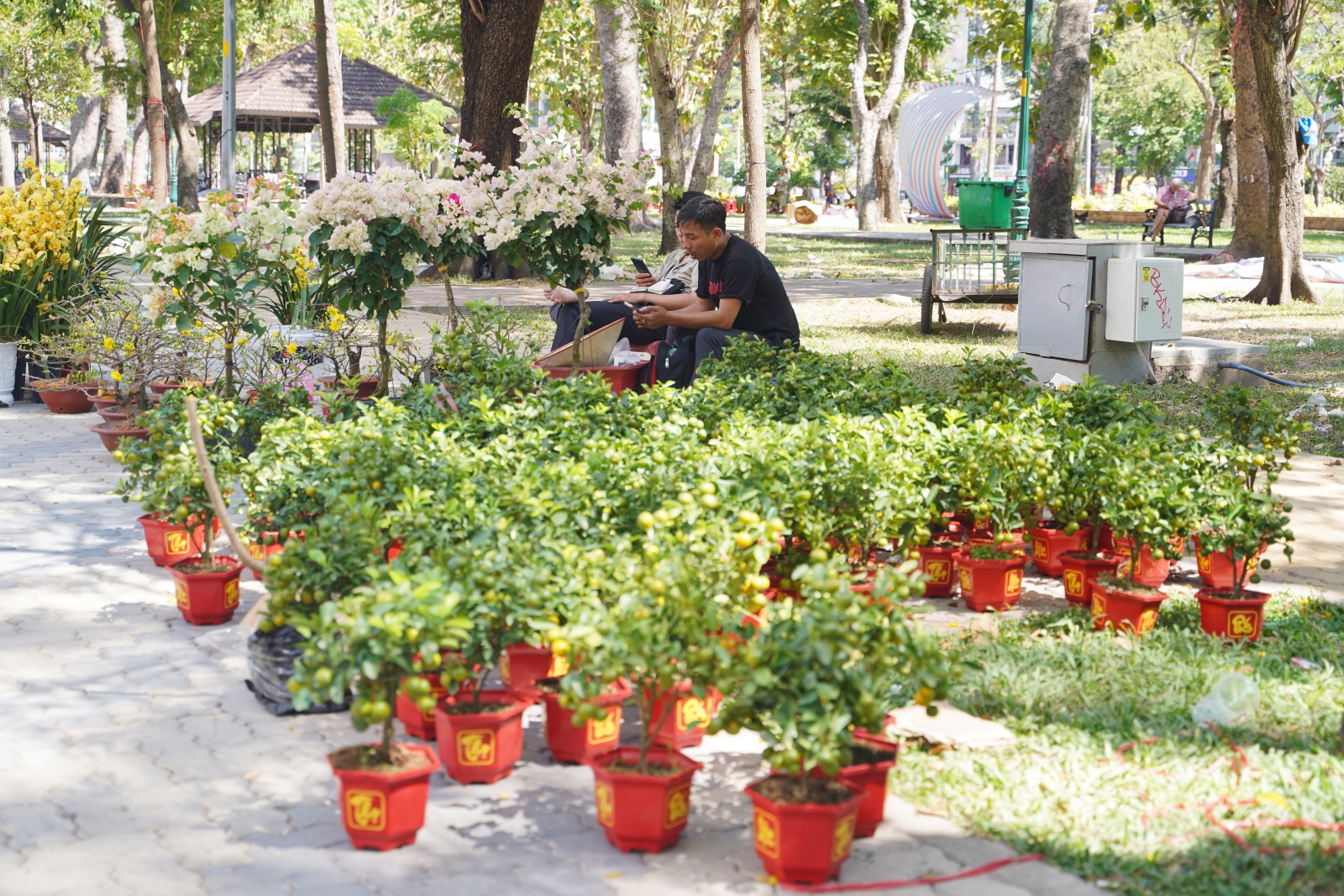 Trưa 29 Tết: Tiểu thương bán vội, khách mua nhanh, chợ hoa TP.HCM nhộn nhịp phút cuối- Ảnh 18.