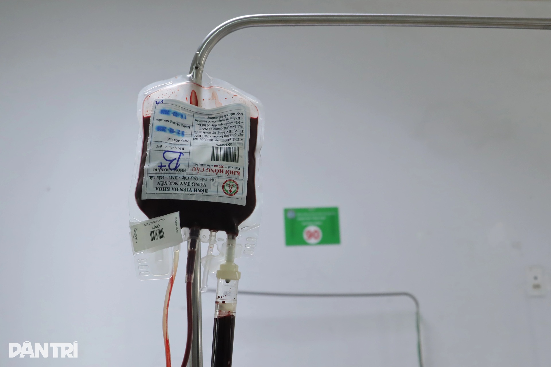 Tết không cần gì lớn lao, chỉ cần con khỏe lên một chút - 4 Tết không cần gì lớn lao, chỉ cần con khỏe lên một chút - 4