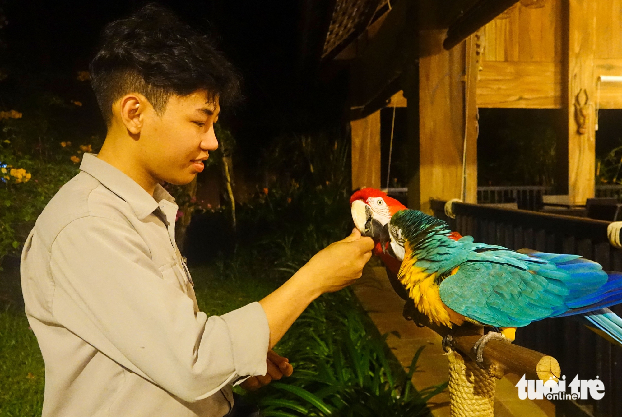 Khách quốc tế mê đi tour đêm xem ngựa vằn, tê giác, linh dương, hươu cao cổ ở Phú Quốc dịp Tết 3 Phú Quốc - Ảnh 3.