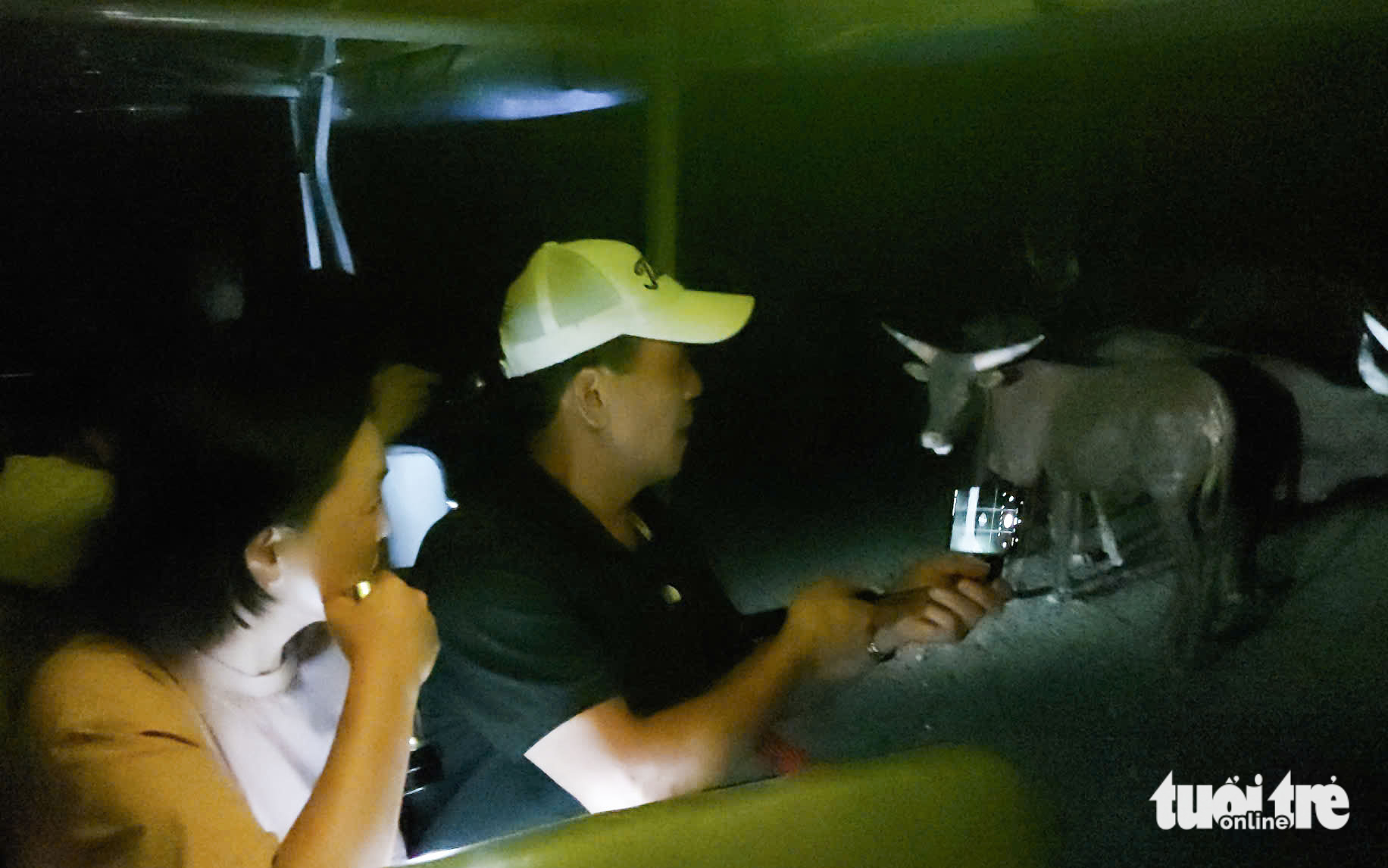 Khách quốc tế mê đi tour đêm xem ngựa vằn, tê giác, linh dương, hươu cao cổ ở Phú Quốc dịp Tết 6 Phú Quốc - Ảnh 6.