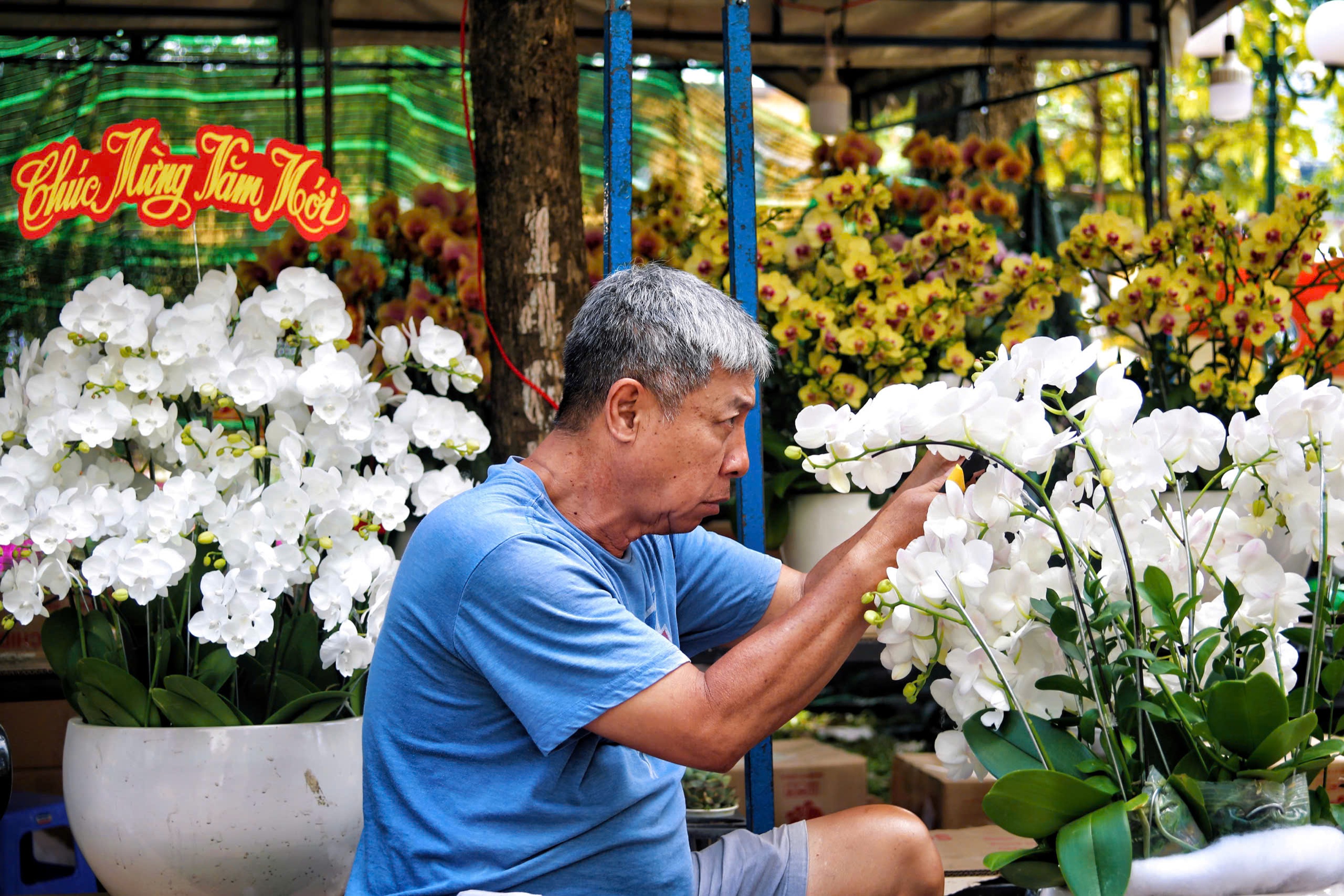 Chợ hoa Tết TPHCM: Không gian văn hóa xuân - Ảnh 3.