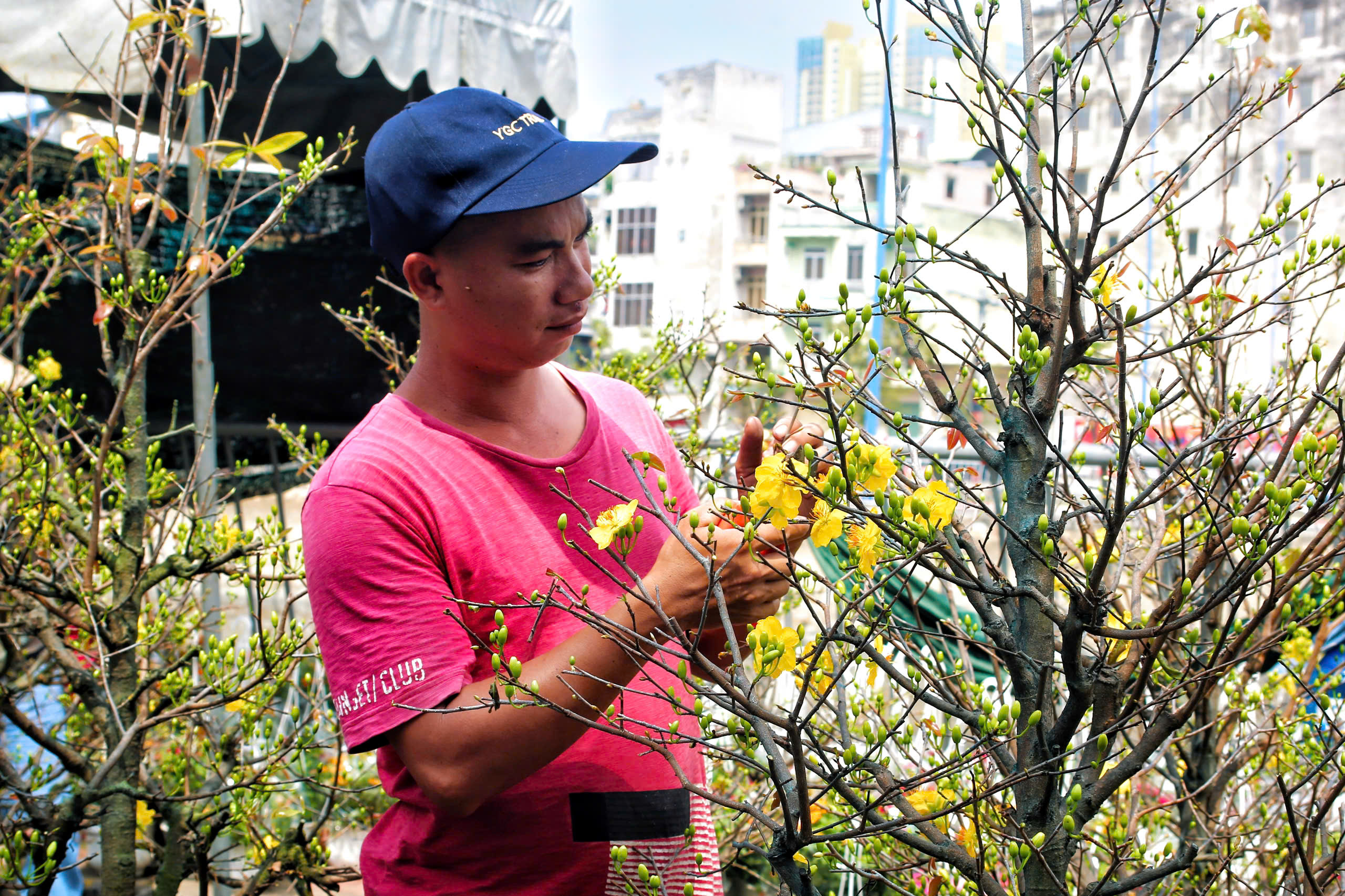 Chợ hoa Tết TPHCM: Không gian văn hóa xuân - Ảnh 4.