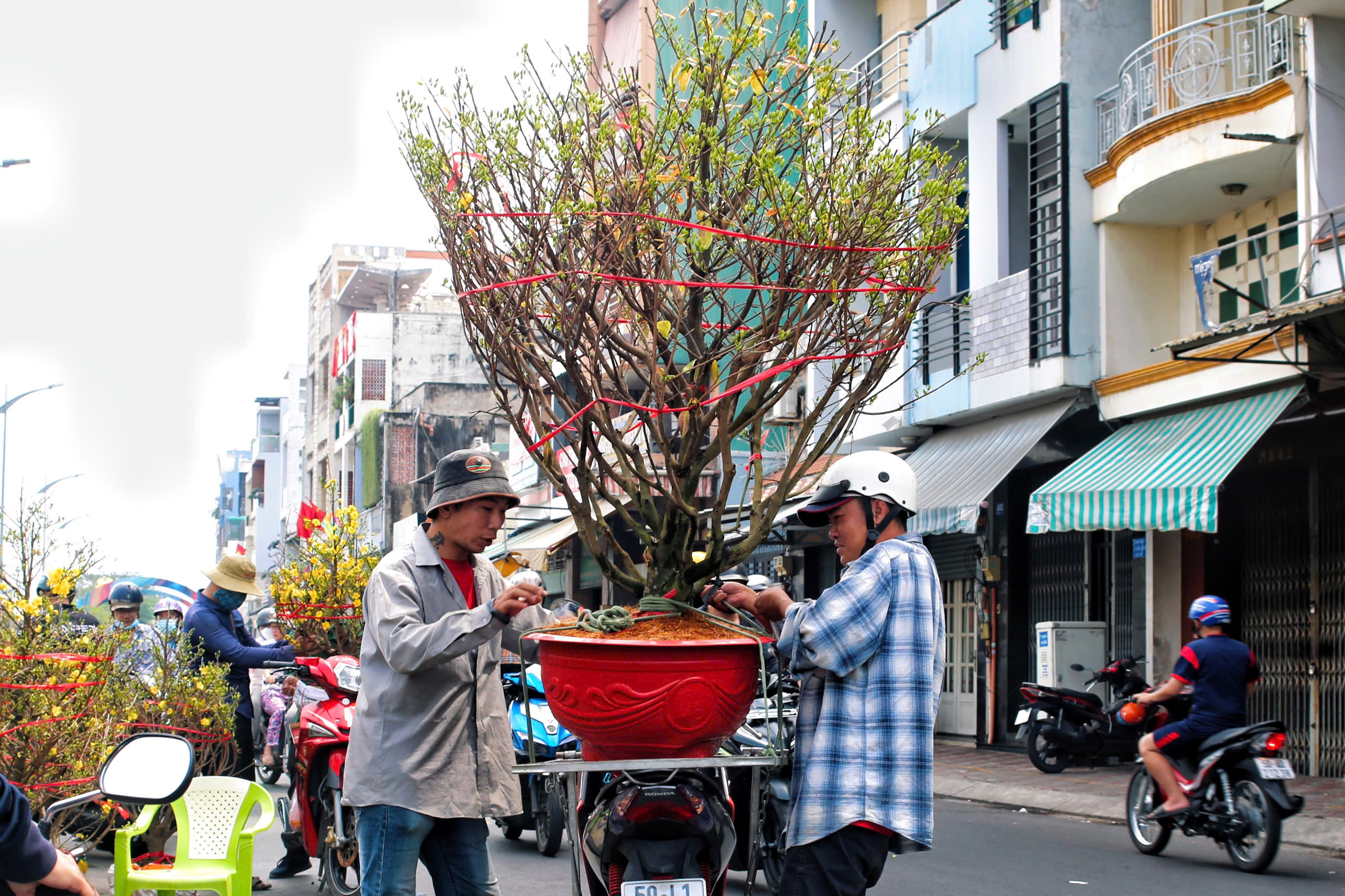 Chợ hoa Tết TPHCM: Không gian văn hóa xuân - Ảnh 6.