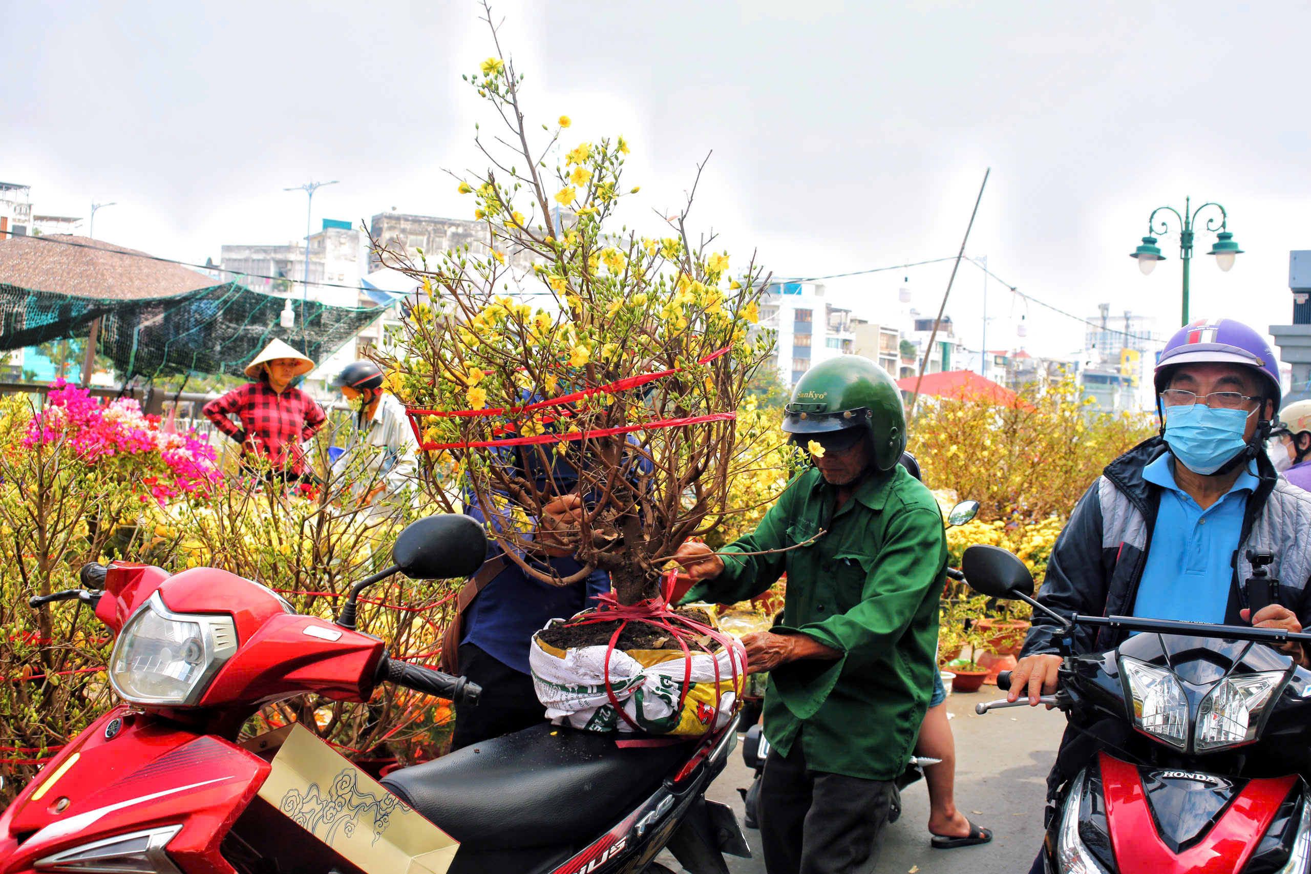 Chợ hoa Tết TPHCM: Không gian văn hóa xuân - Ảnh 8.