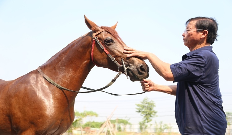 1771286269 96 Chien ma tung thong tri truong dua Phu Tho