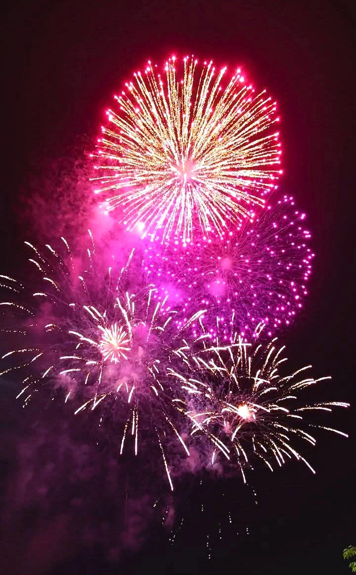 Bính Ngọ 2026 6.jpg