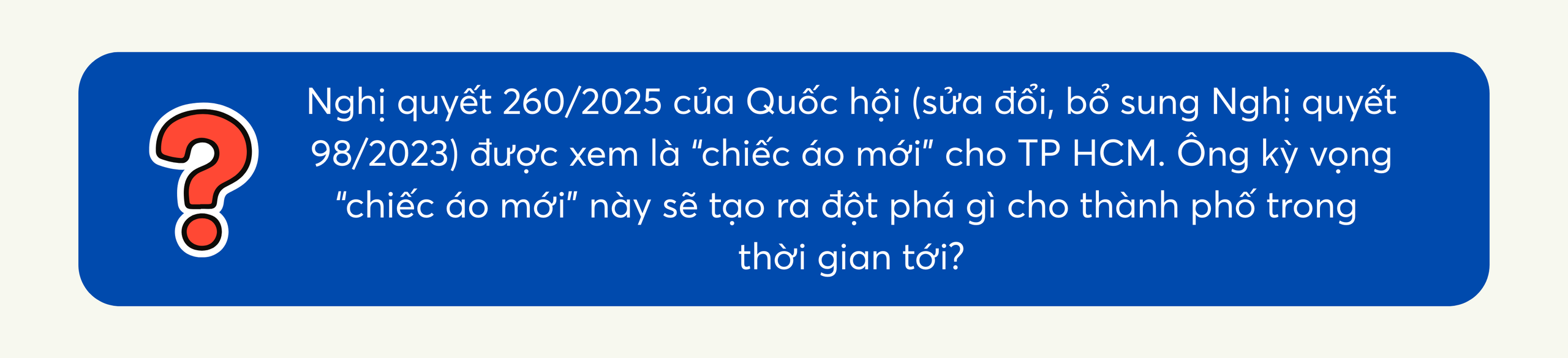 TP HCM hiện thực hóa khát vọng vươn tầm - Ảnh 14.