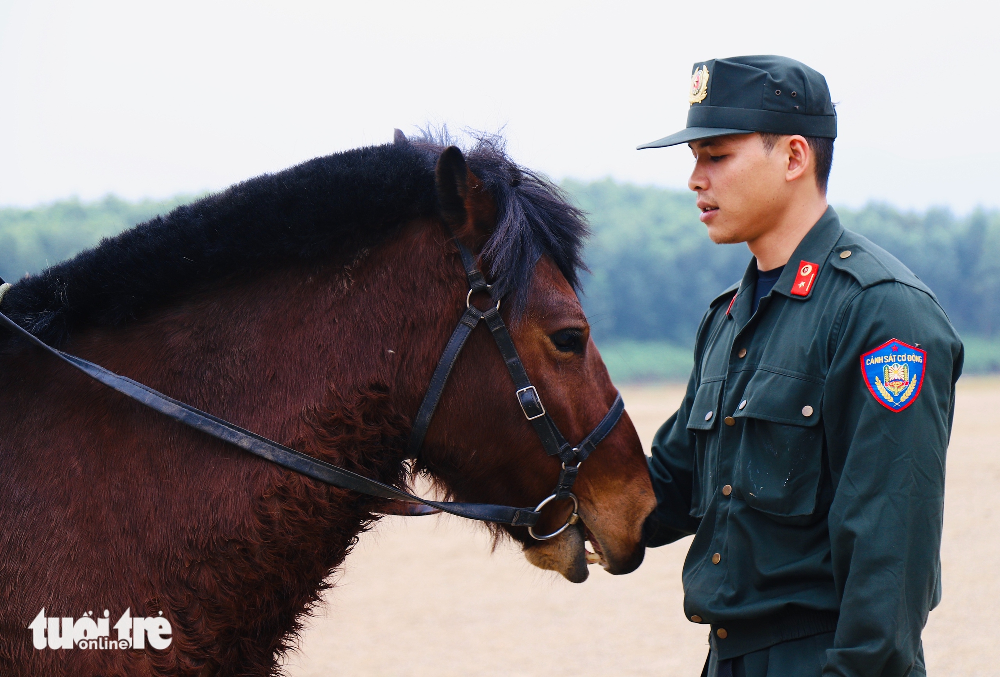 Đầu năm ngựa, 'xông đất' Đoàn Cảnh sát cơ động Kỵ binh 2 ngựa - Ảnh 2.