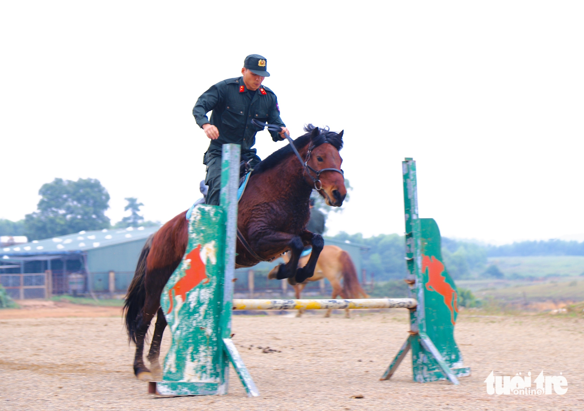 Đầu năm ngựa, 'xông đất' Đoàn Cảnh sát cơ động Kỵ binh 5 ngựa - Ảnh 5.