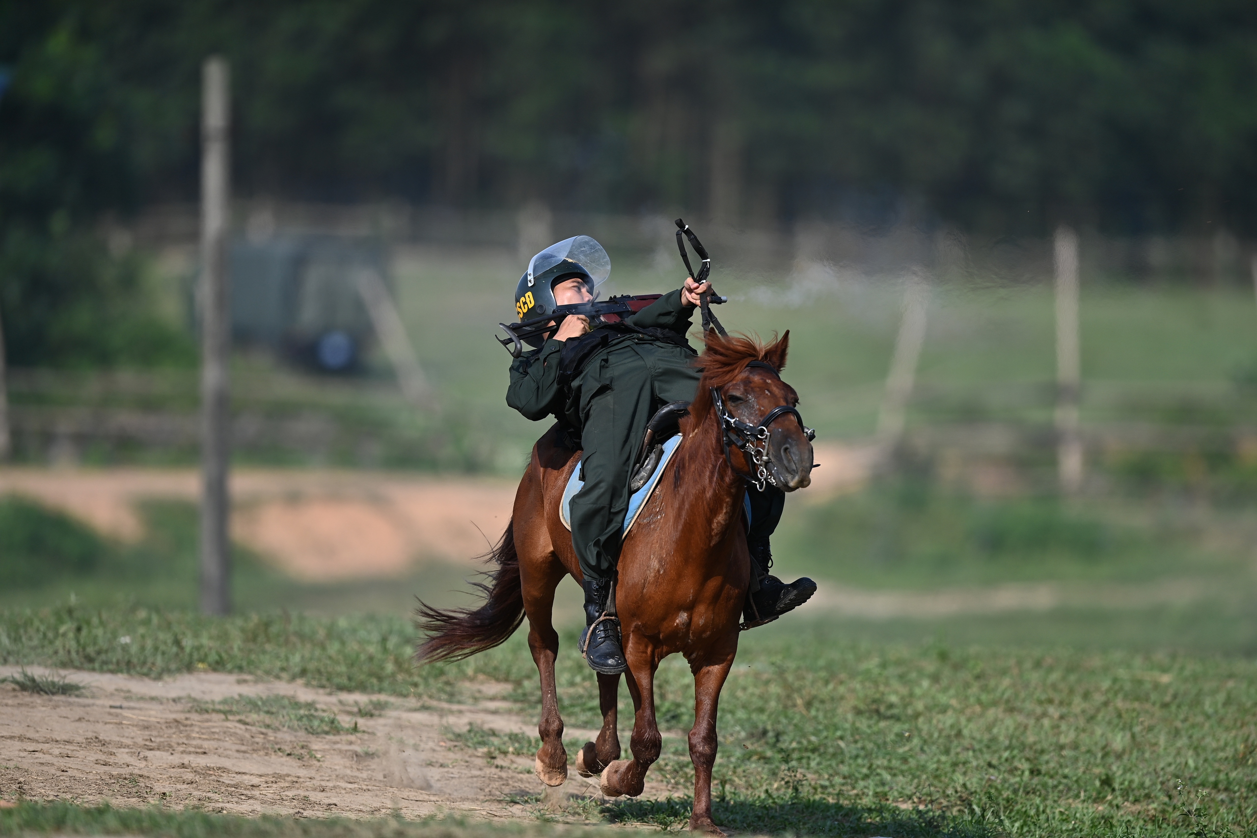 Đầu năm ngựa, 'xông đất' Đoàn Cảnh sát cơ động Kỵ binh 7 ngựa - Ảnh 10.