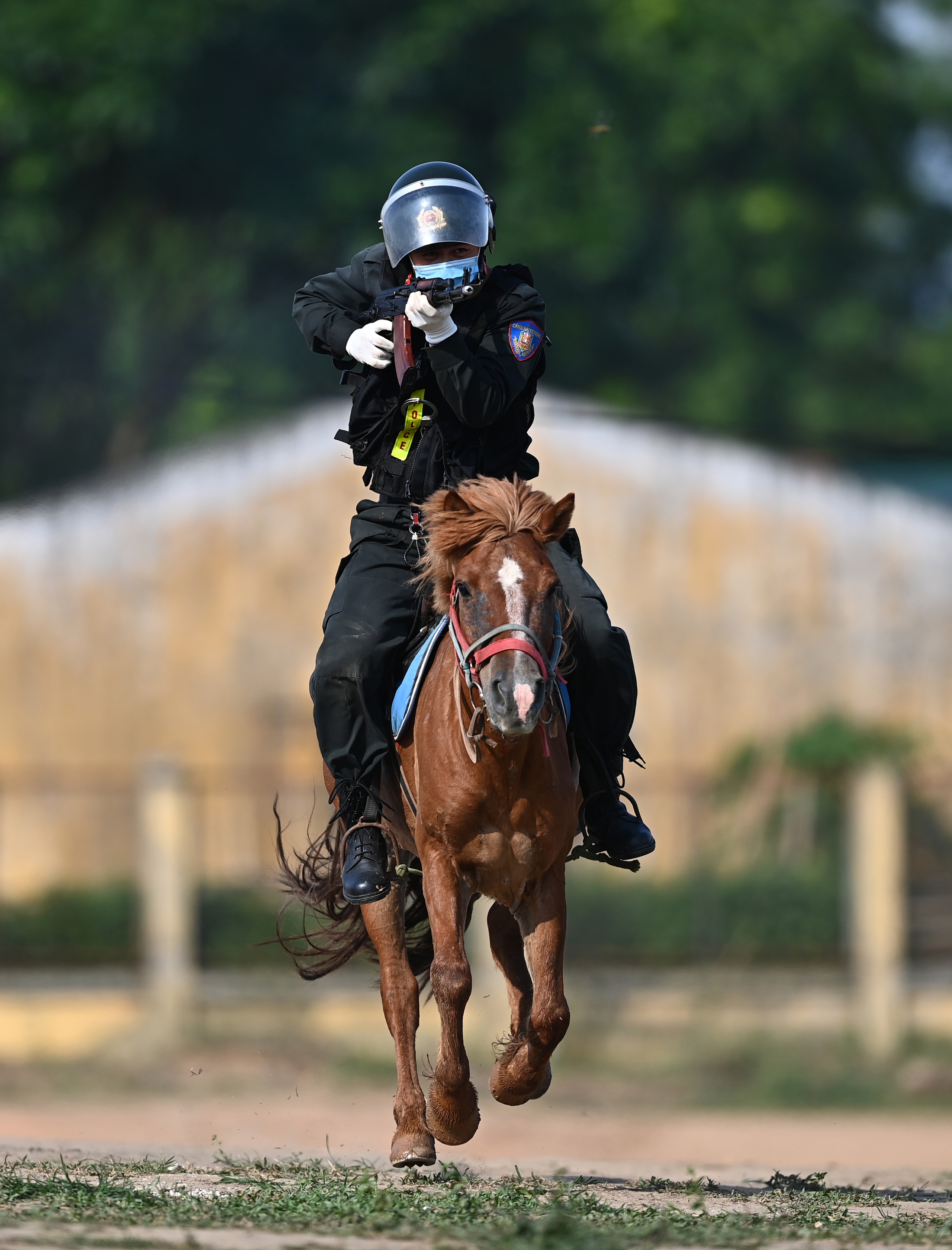 Đầu năm ngựa, 'xông đất' Đoàn Cảnh sát cơ động Kỵ binh 8 ngựa - Ảnh 11.