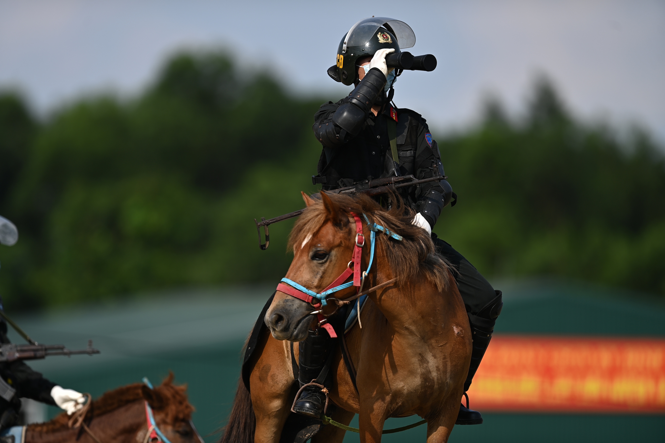 Đầu năm ngựa, 'xông đất' Đoàn Cảnh sát cơ động Kỵ binh 10 ngựa - Ảnh 13.