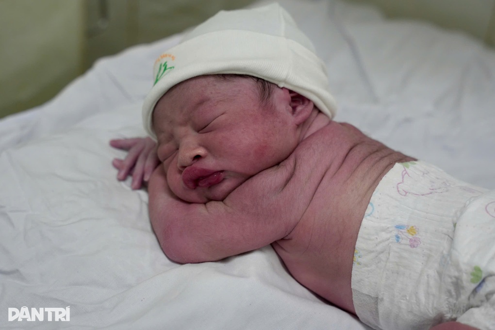 Ngắm những em bé Bính Ngọ đầu tiên chào đời ở Việt Nam - 5