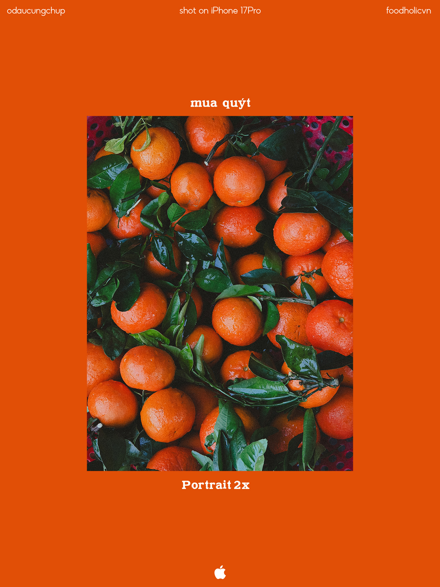 Tết đủ đầy qua lăng kính sáng tạo của người trẻ Việt- Ảnh 6.