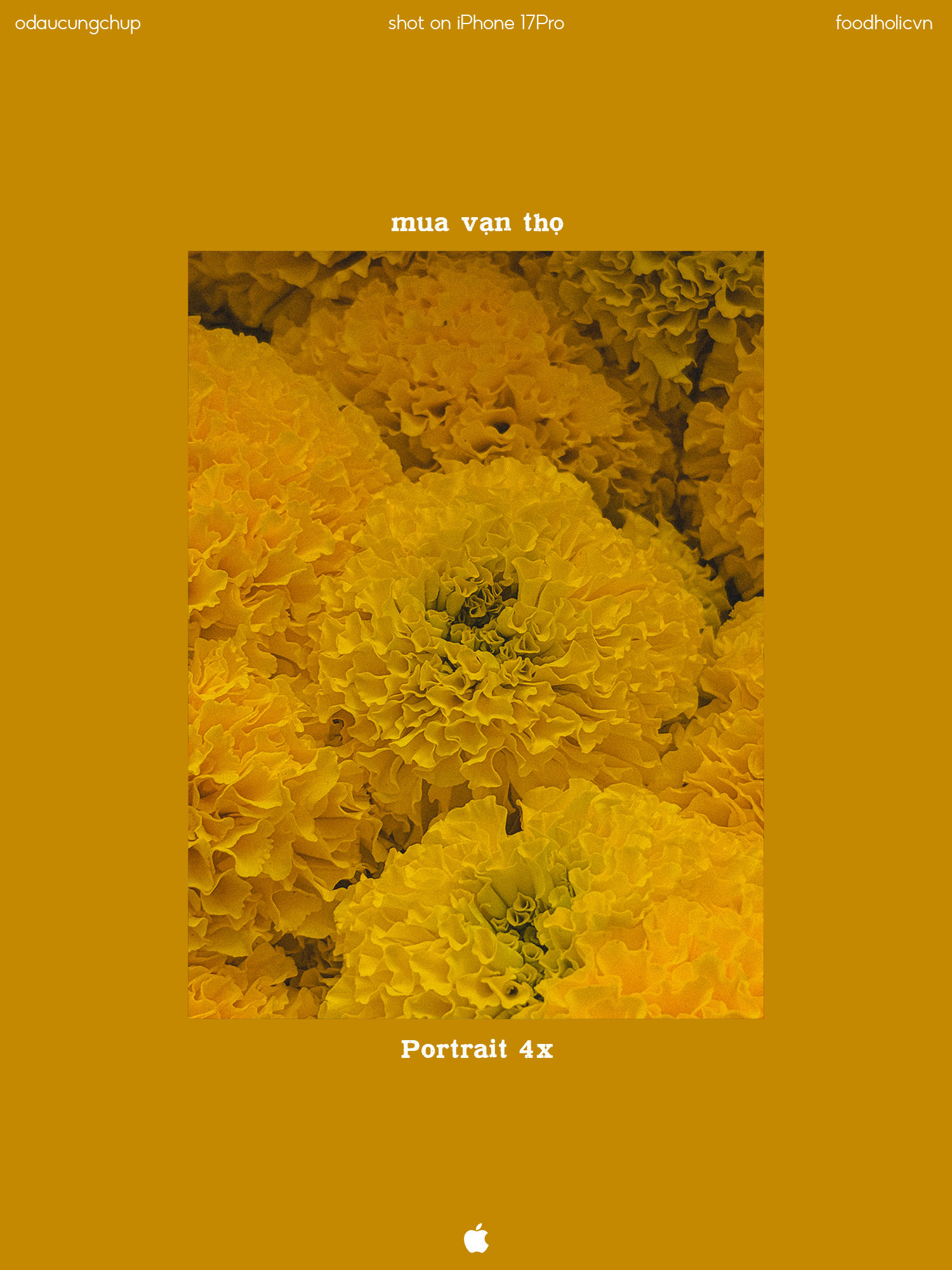 Tết đủ đầy qua lăng kính sáng tạo của người trẻ Việt- Ảnh 8.