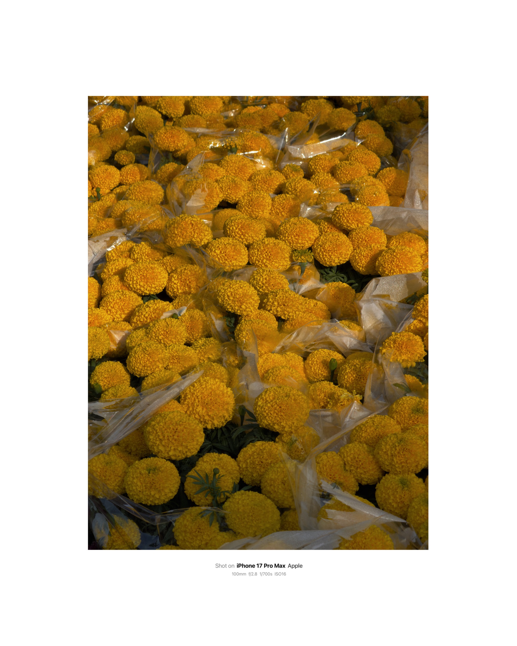 Tết đủ đầy qua lăng kính sáng tạo của người trẻ Việt- Ảnh 11.