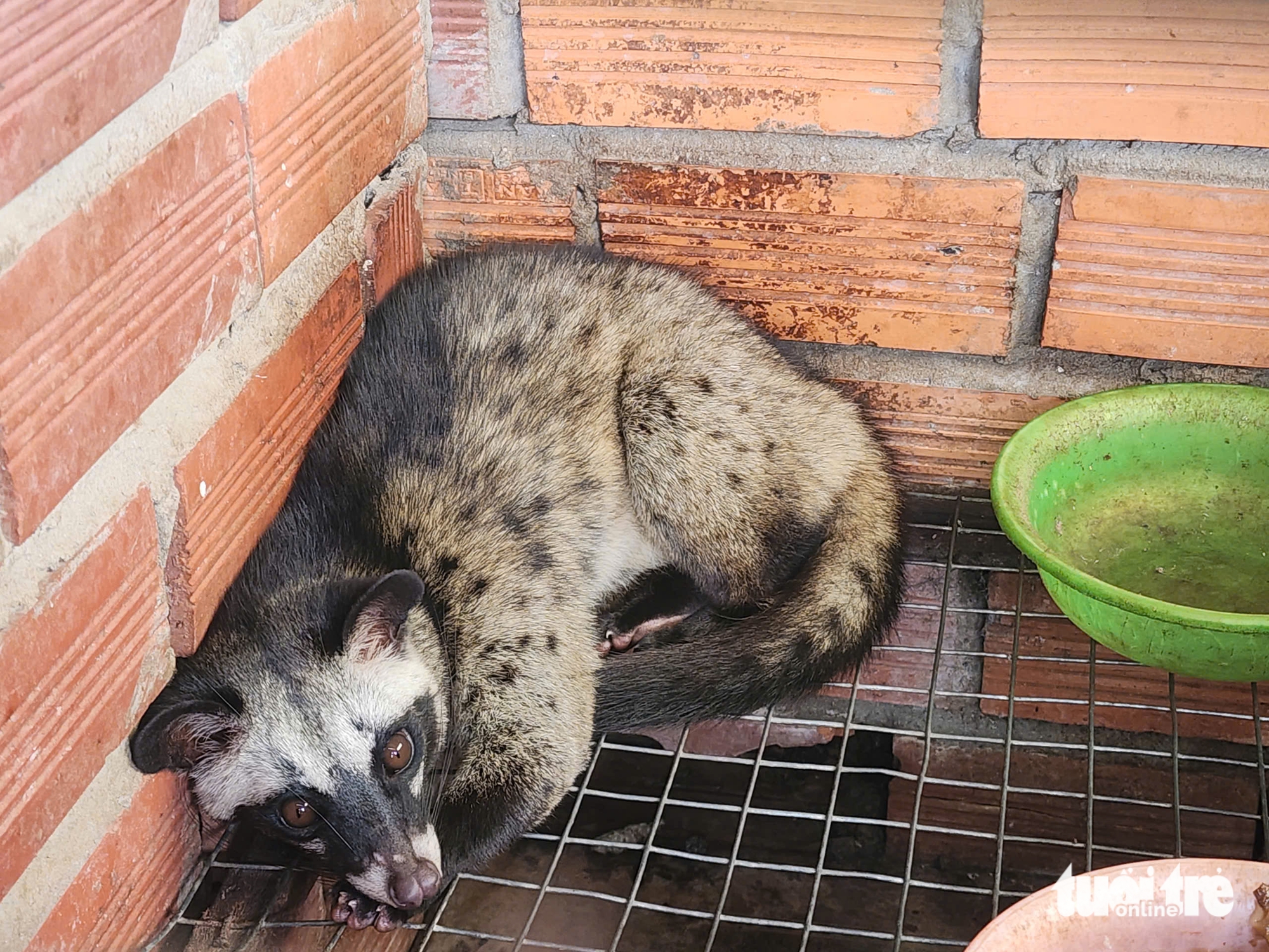 CHỒN HƯƠNG - Ảnh 2.