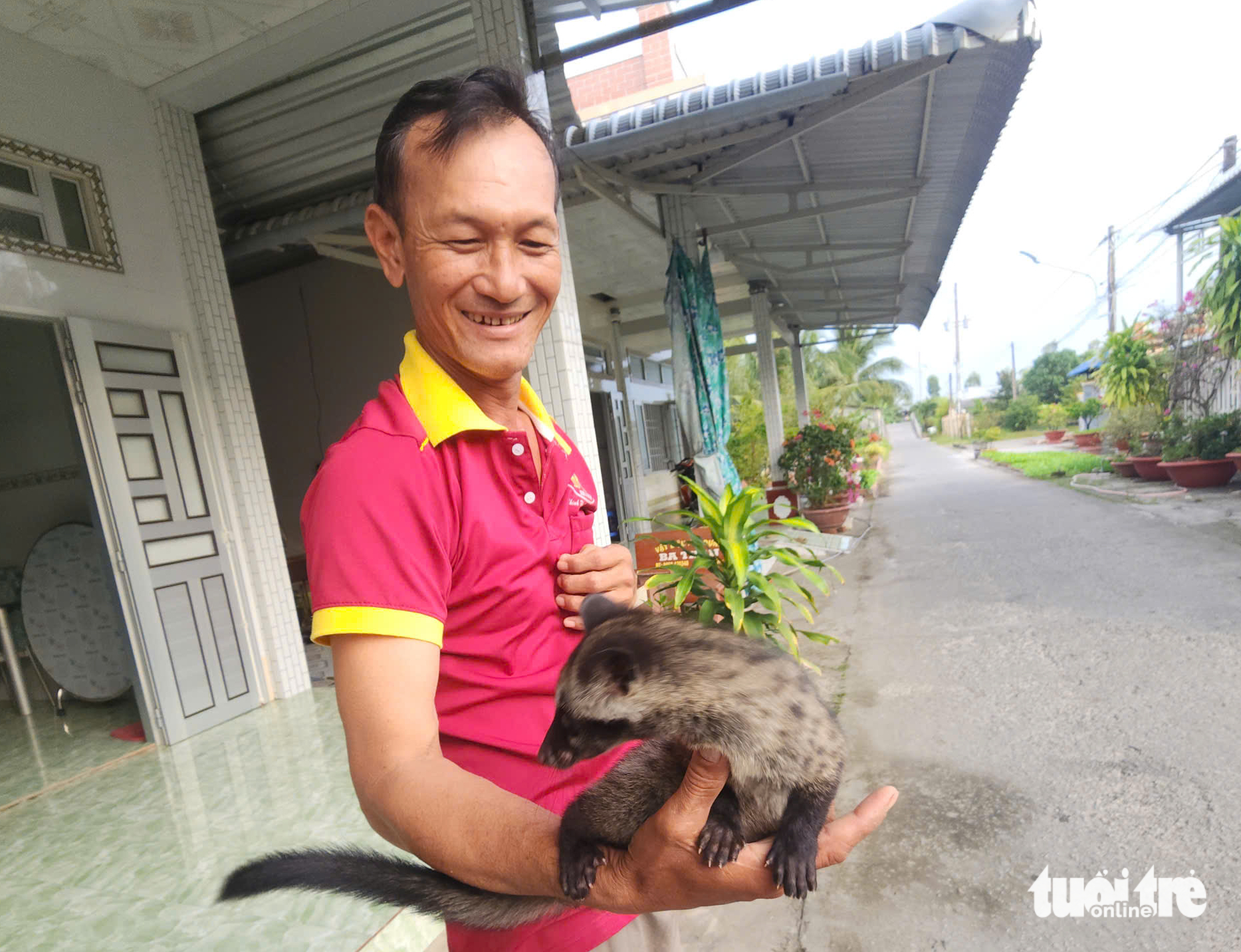 Người dân Cà Mau làm giàu nhờ nuôi chồn hương sinh sản - Ảnh 4.