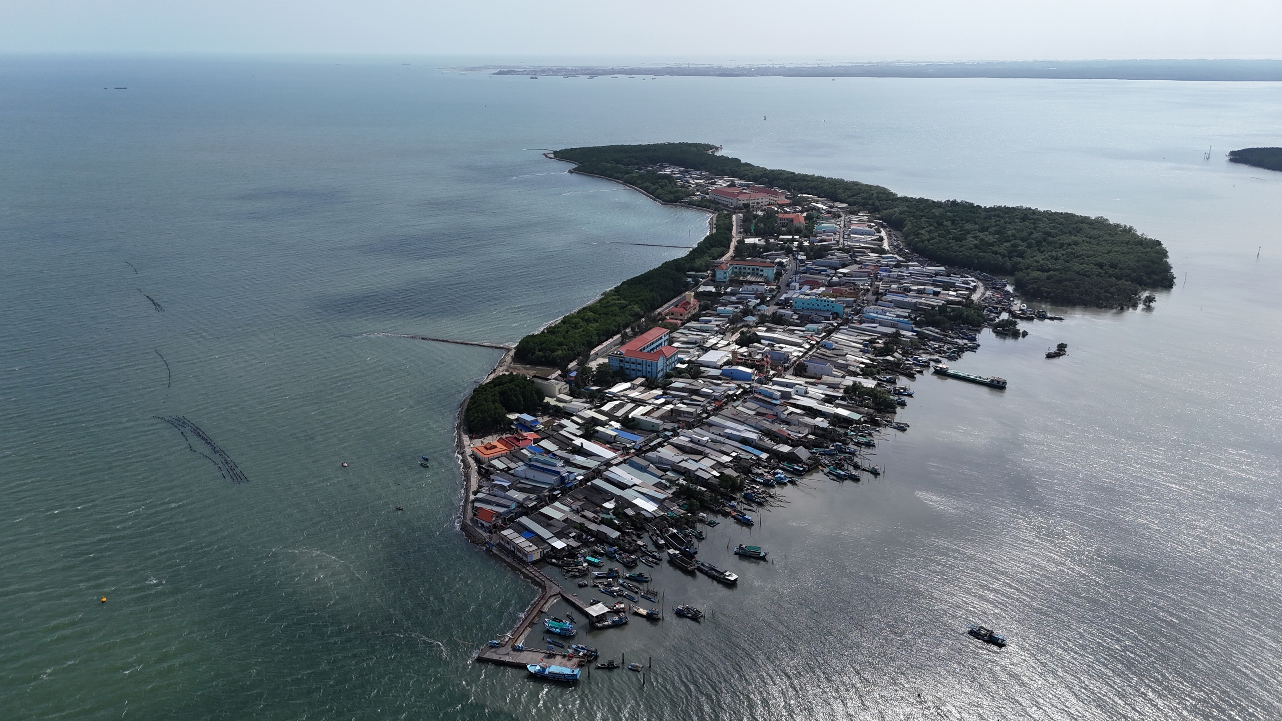 Xuân về trên xã đảo Thạnh An: Niềm vui của chiến sĩ biên phòng 2026 - Ảnh 6. Xuân về trên xã đảo Thạnh An: Niềm vui của chiến sĩ biên phòng 2026 - Ảnh 6.