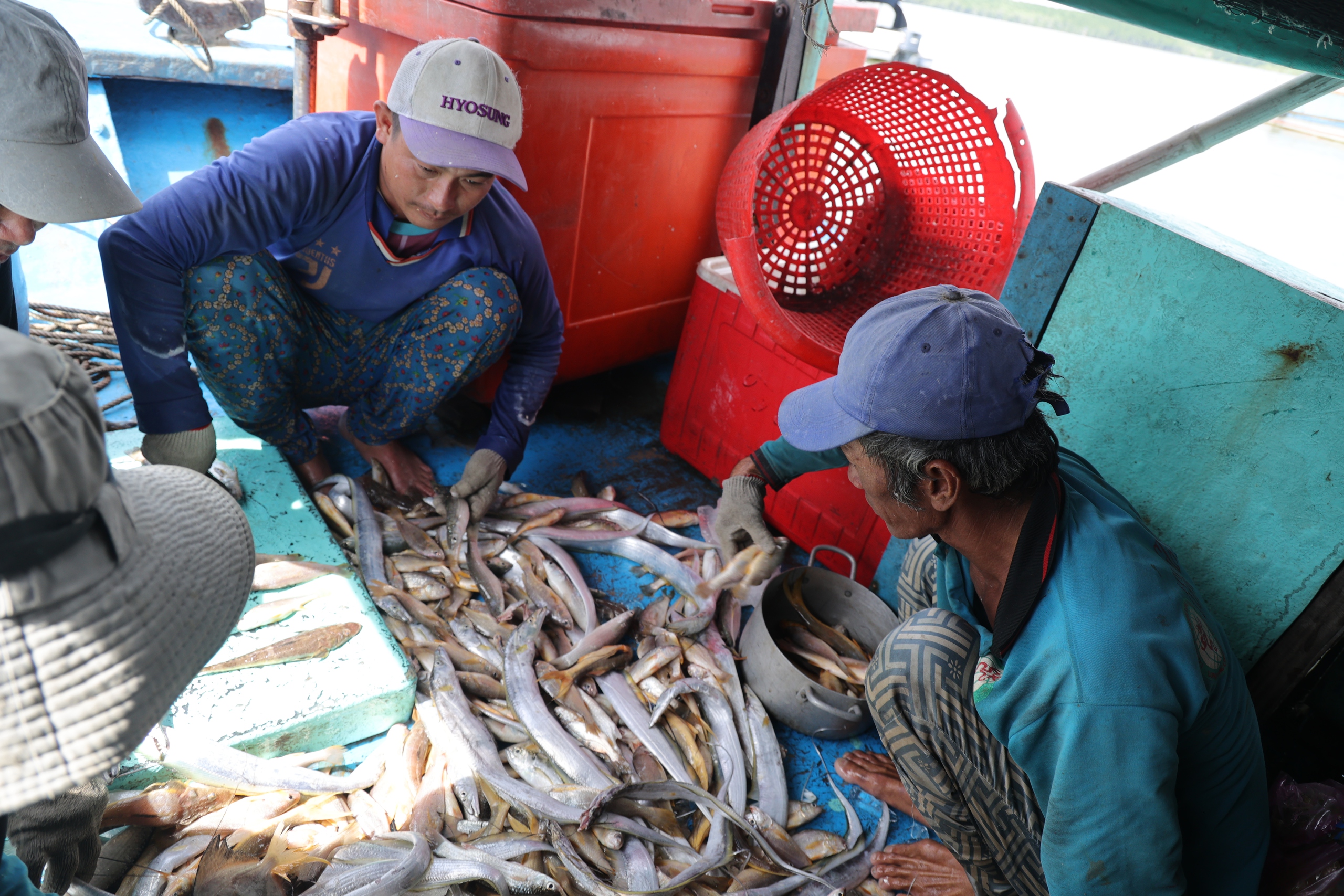 Xuân về trên xã đảo Thạnh An: Niềm vui của chiến sĩ biên phòng 2026 - Ảnh 8. Xuân về trên xã đảo Thạnh An: Niềm vui của chiến sĩ biên phòng 2026 - Ảnh 8.