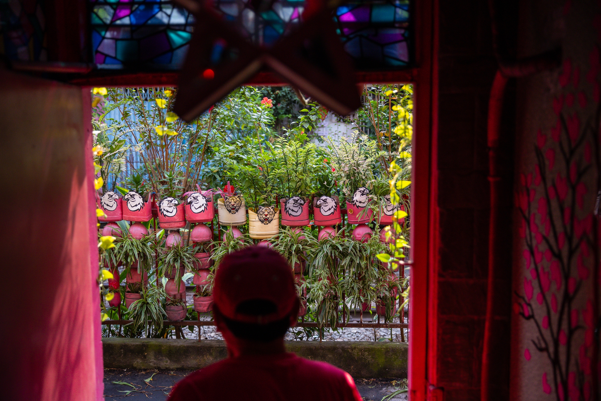 Người đàn ông một mình đón giao thừa trong căn nhà toàn màu hồng ở TP.HCM: Người đàn ông một mình đón giao thừa trong căn nhà toàn màu hồng ở TP.HCM: