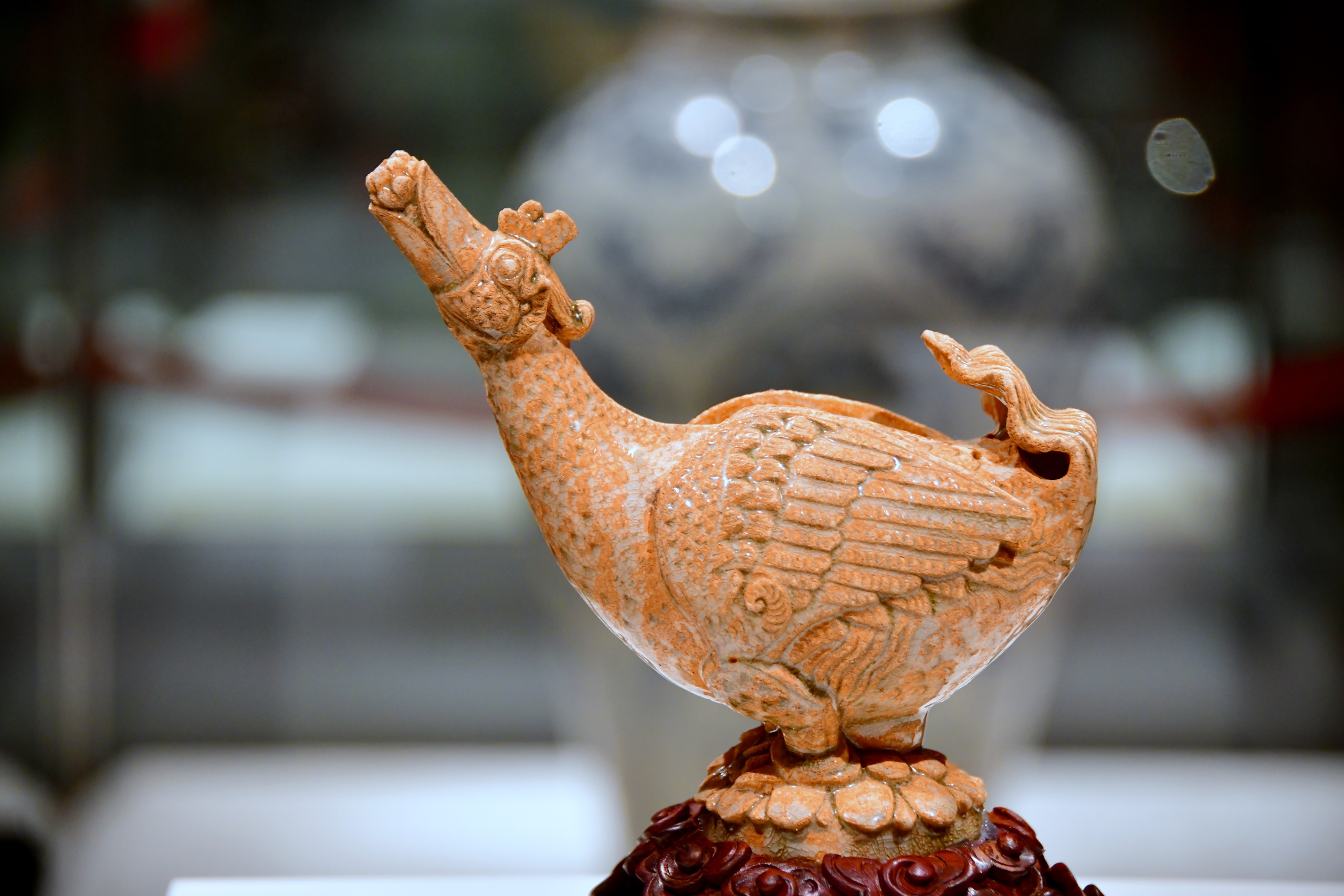 Hành trình mùa xuân theo cánh ngỗng Hamsa- Ảnh 2.