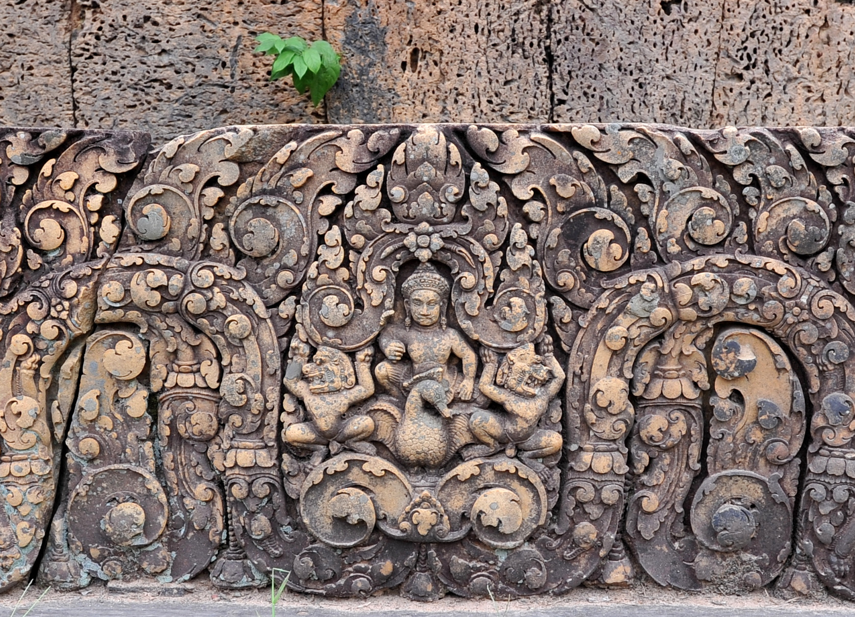 Hành trình mùa xuân theo cánh ngỗng Hamsa- Ảnh 4.