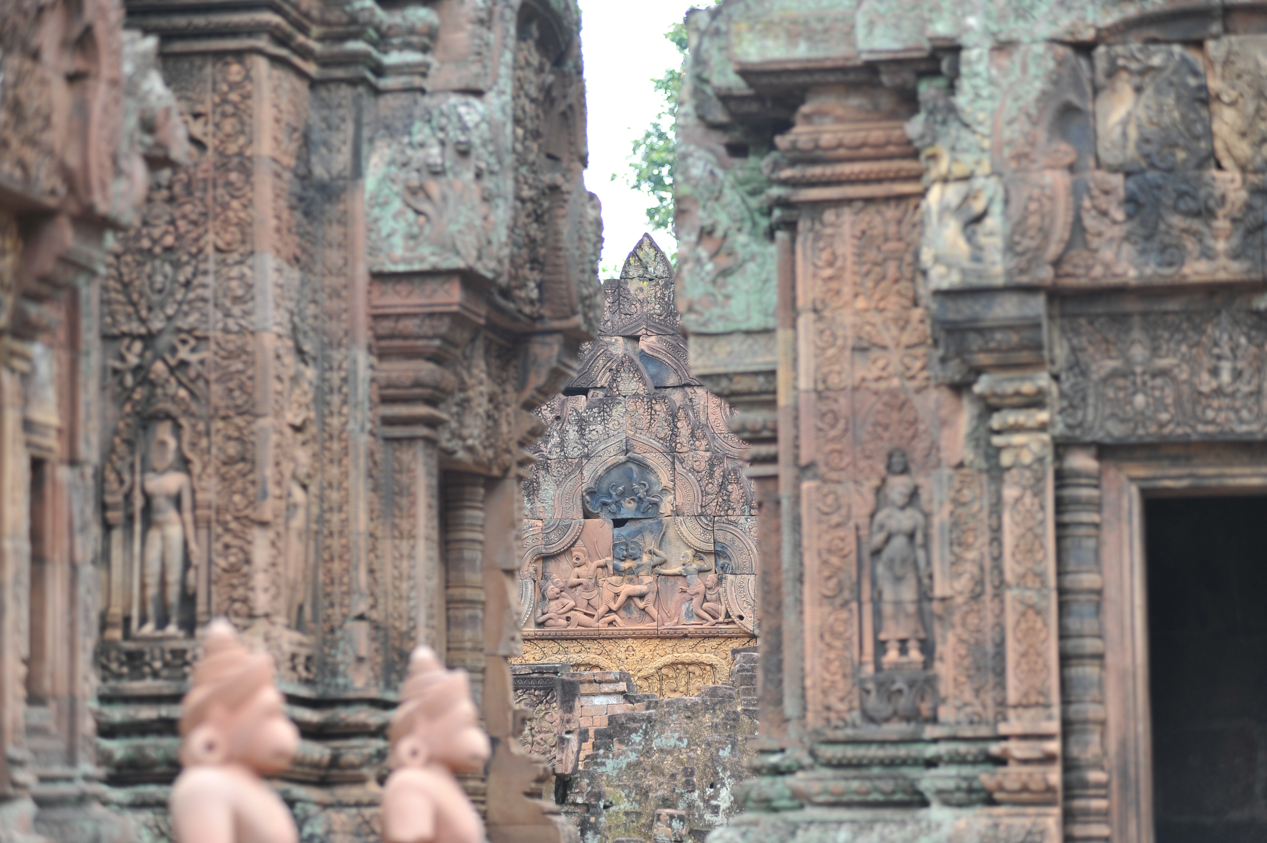 Hành trình mùa xuân theo cánh ngỗng Hamsa- Ảnh 5.