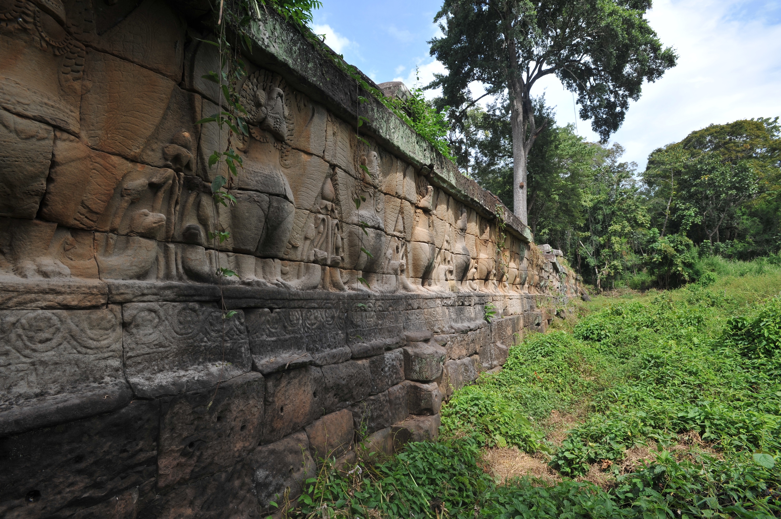Hành trình mùa xuân theo cánh ngỗng Hamsa- Ảnh 7. Hành trình mùa xuân theo cánh ngỗng Hamsa- Ảnh 7.