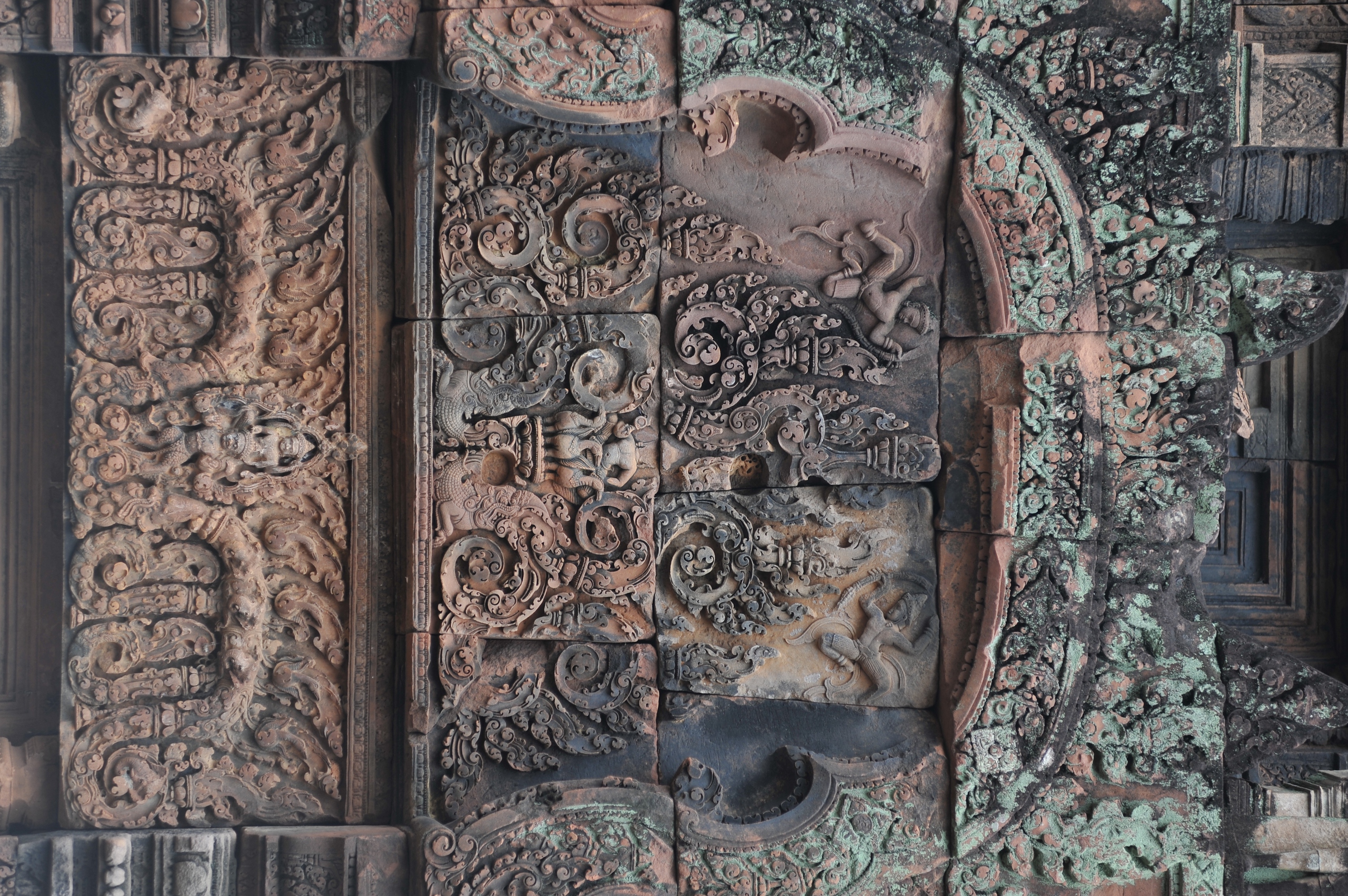 Hành trình mùa xuân theo cánh ngỗng Hamsa- Ảnh 8.