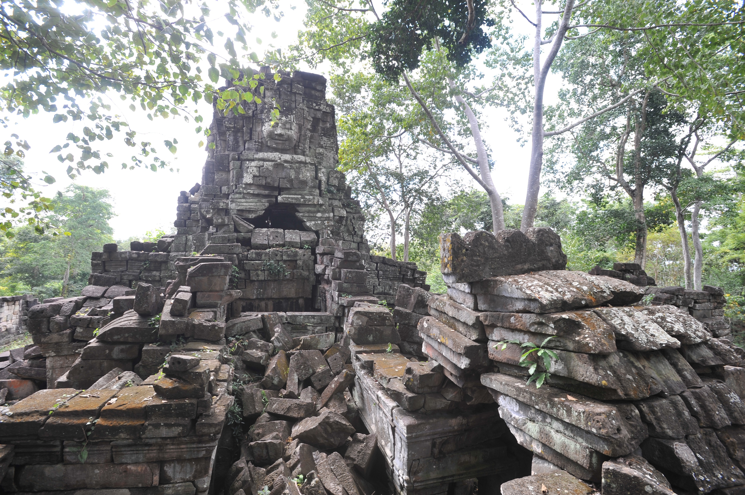 Hành trình mùa xuân theo cánh ngỗng Hamsa- Ảnh 10.