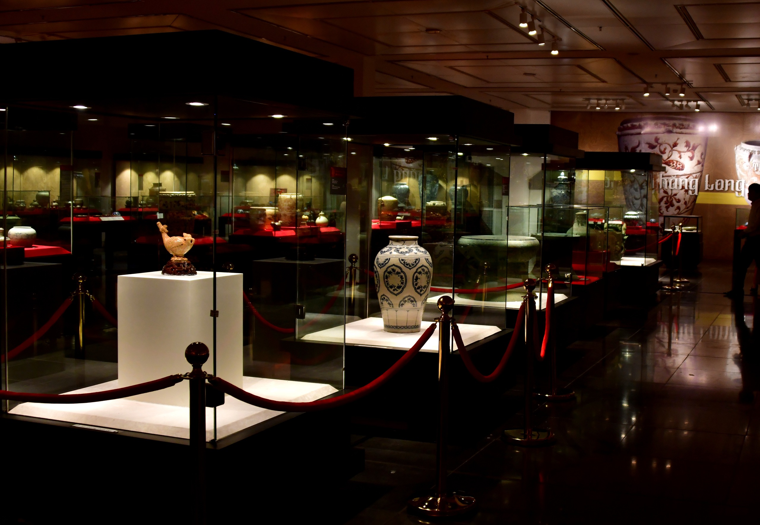 Hành trình mùa xuân theo cánh ngỗng Hamsa- Ảnh 12.