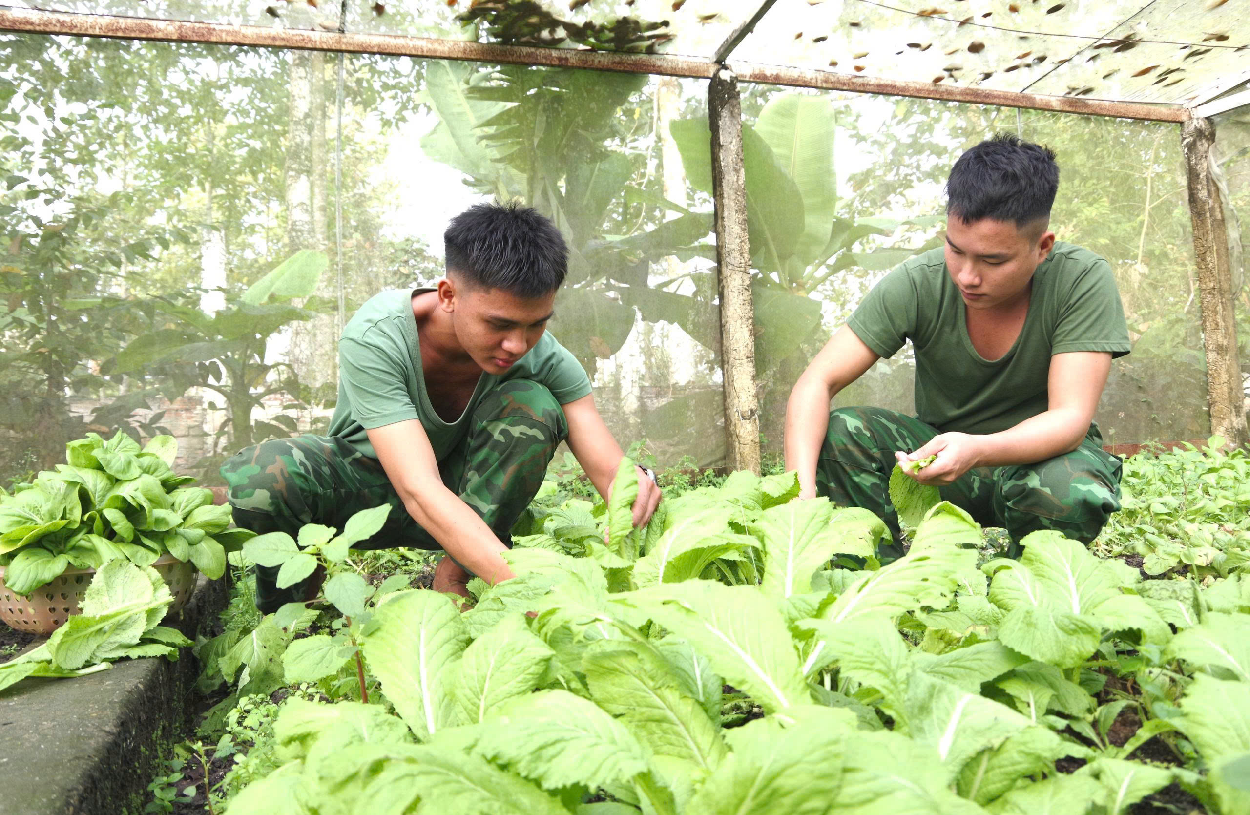 Ấm tình Xuân biên cương ở Tây Ninh - Ảnh 6.