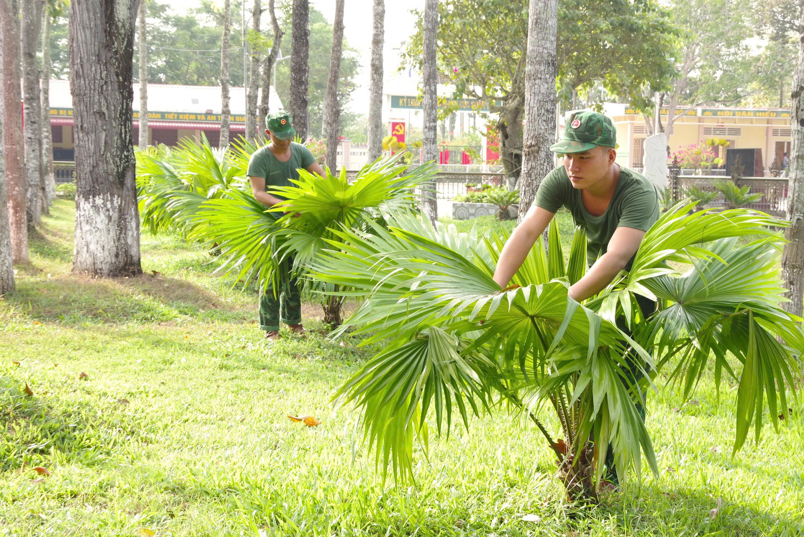 Ấm tình Xuân biên cương ở Tây Ninh - Ảnh 14.