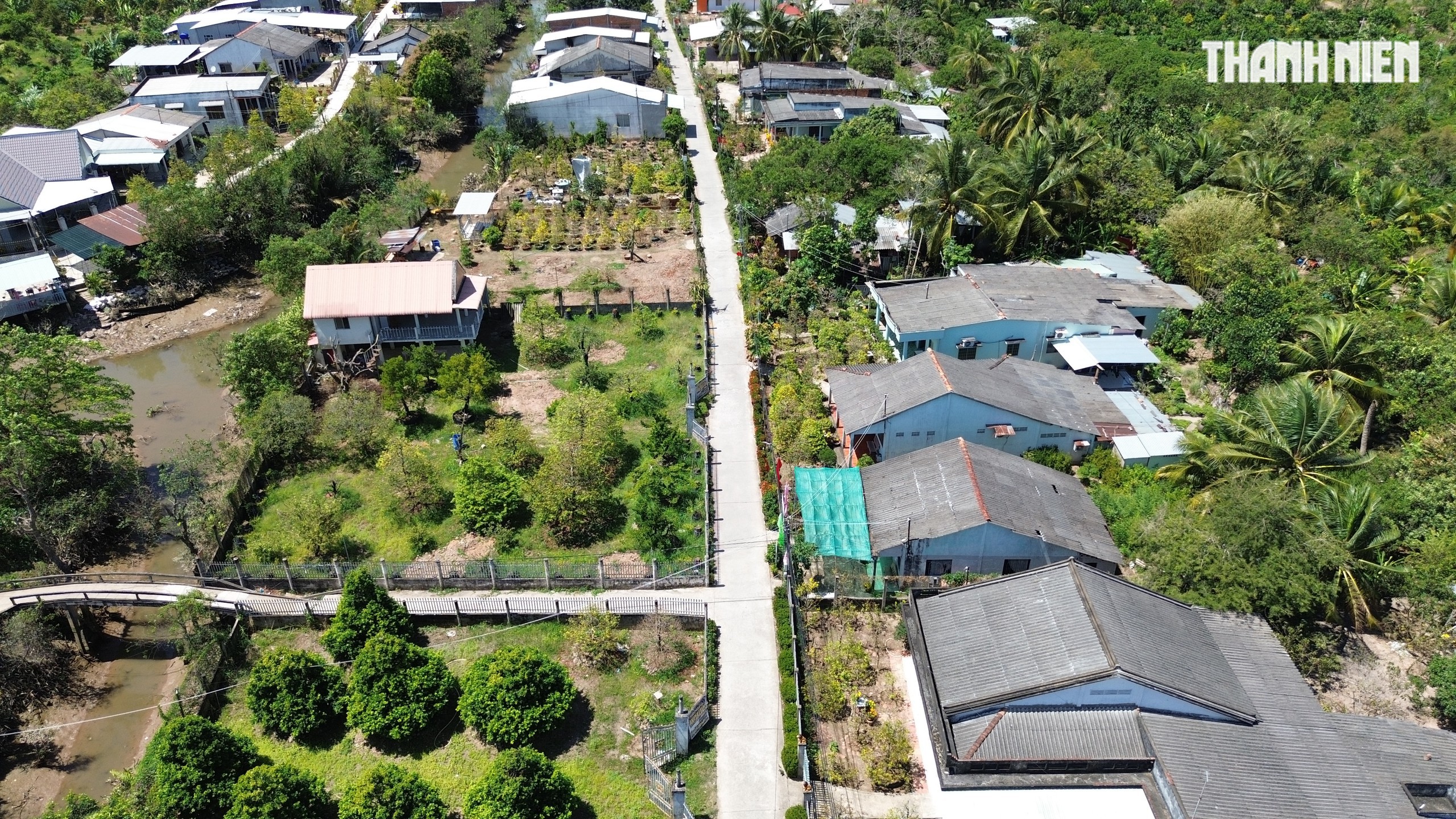 Những cây mai 'may mắn' ở Làng mai vàng Phước Định- Ảnh 8.