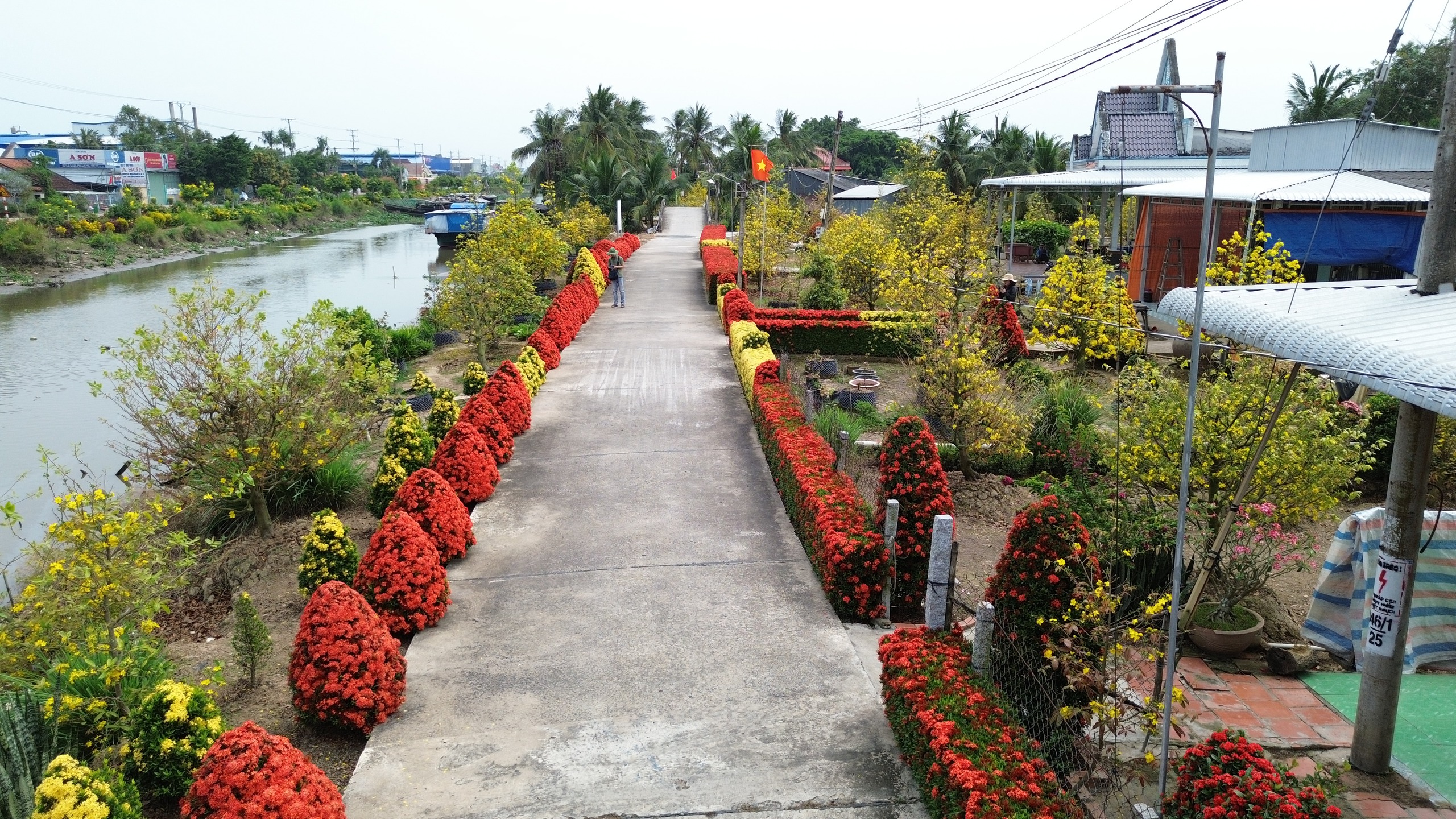 Xóm nhỏ miền Tây bừng sắc xuân với hàng rào hoa, hút khách check-in 4 Xóm nhỏ miền Tây rực rỡ sắc xuân với hàng rào hoa thu hút khách check-in - Ảnh 4.