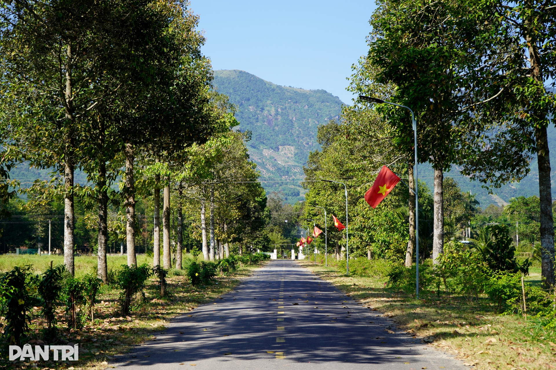Bên trong trại chiến binh ngựa duy nhất ở Việt Nam mang sứ mệnh cứu người - 2