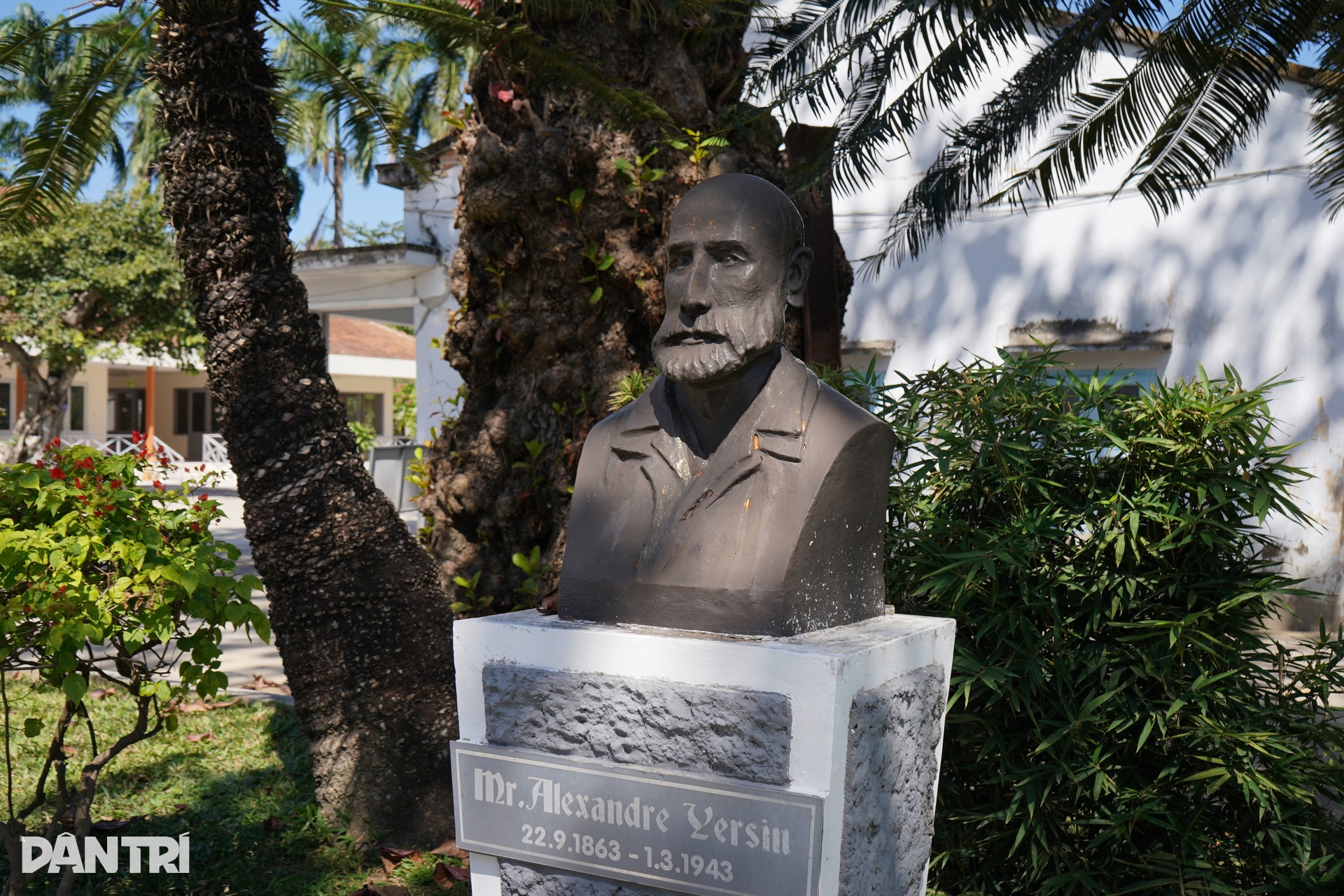 Bên trong trại chiến binh ngựa duy nhất ở Việt Nam mang sứ mệnh cứu người - 3