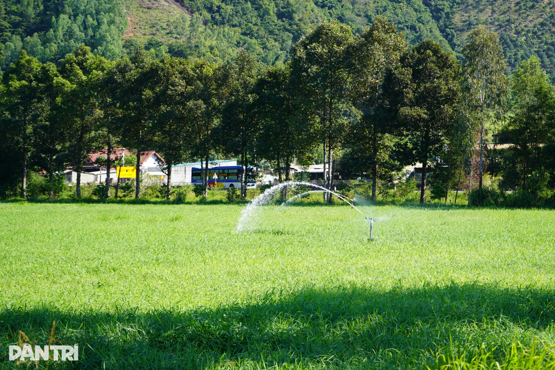 Bên trong trại chiến binh ngựa duy nhất ở Việt Nam mang sứ mệnh cứu người - 9