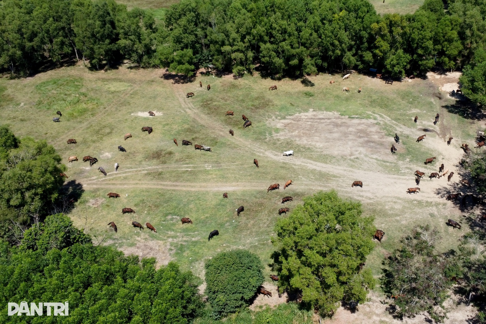 Bên trong trại chiến binh ngựa duy nhất ở Việt Nam mang sứ mệnh cứu người - 10