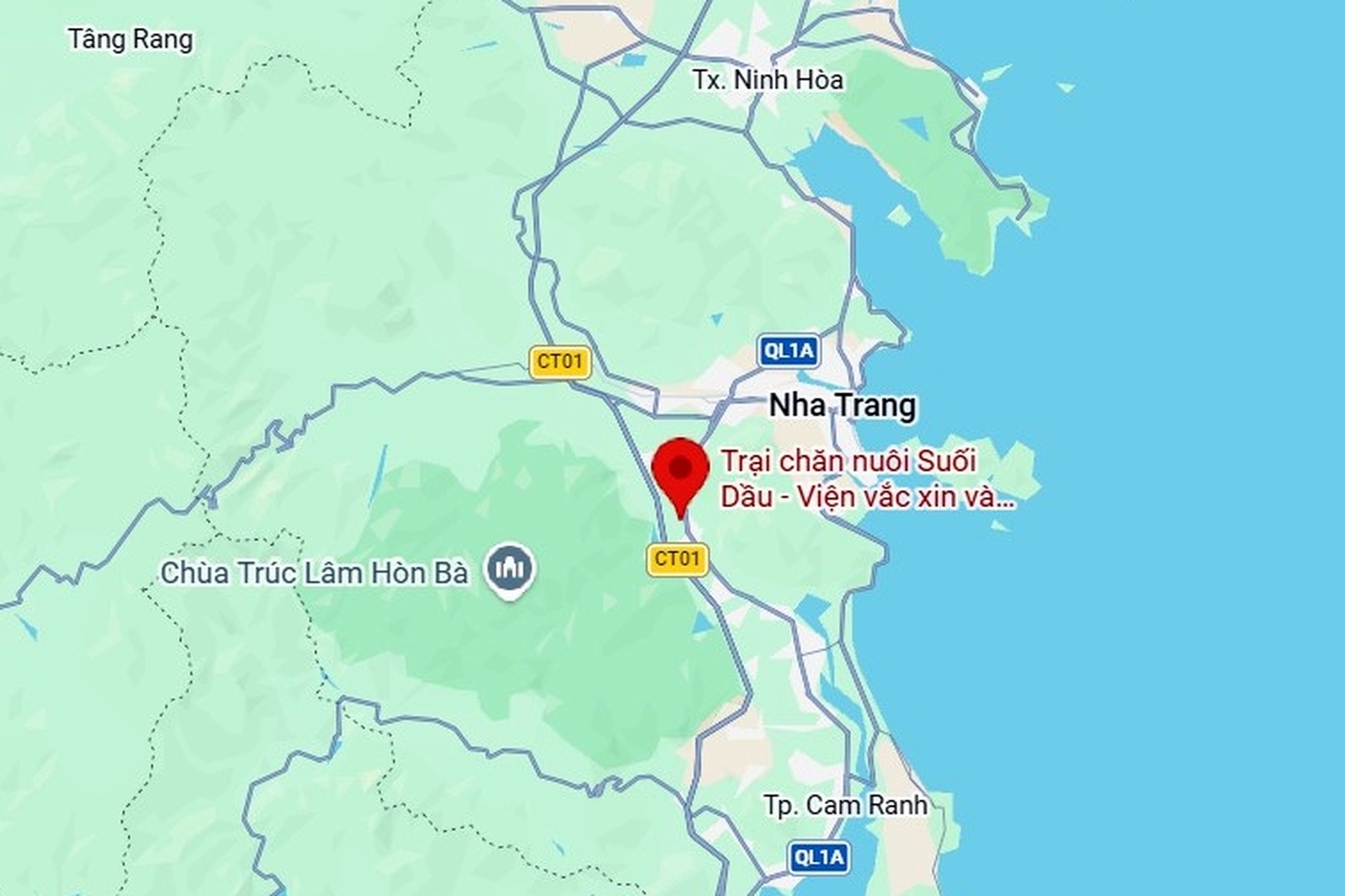 Bên trong trại chiến binh ngựa duy nhất ở Việt Nam mang sứ mệnh cứu người - 14