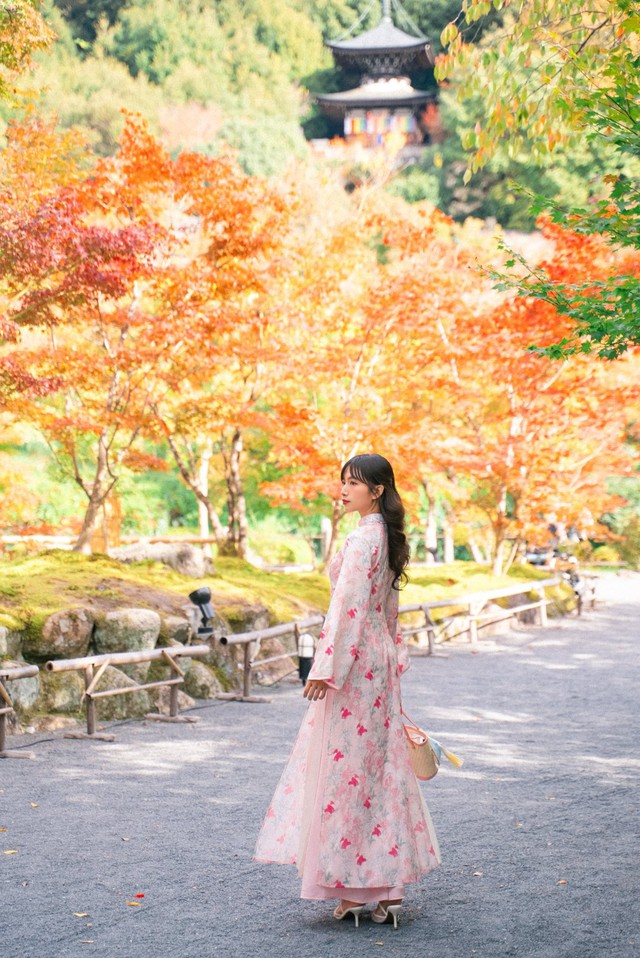 Áo dài Việt 'du xuân' quốc tế- Ảnh 5.