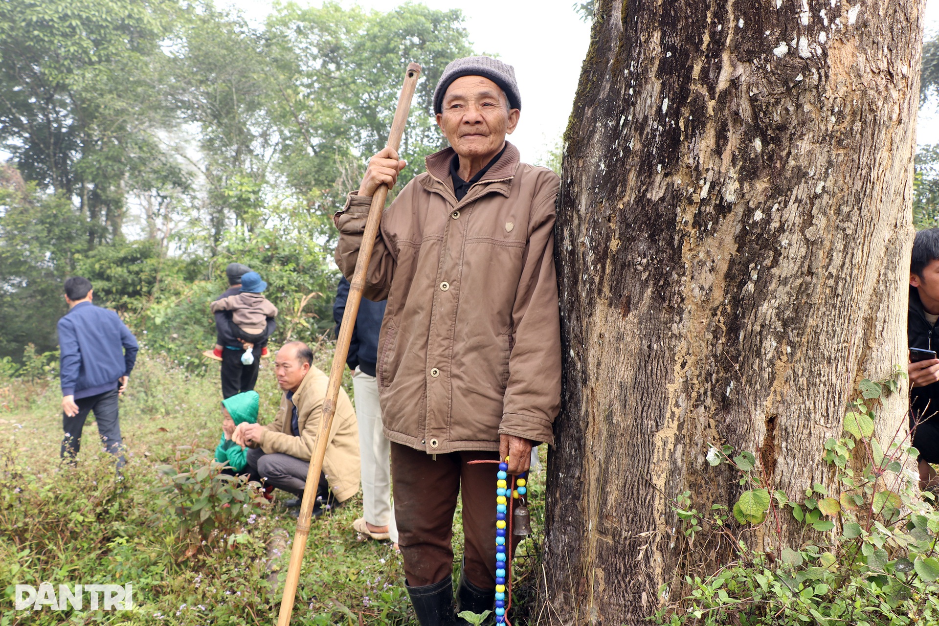 Ngày xuân, lên núi xem bò chận - 8