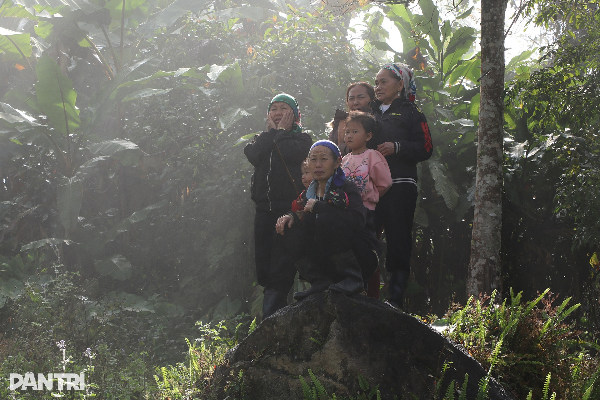 Ngày xuân, lên núi xem bò chận - 9