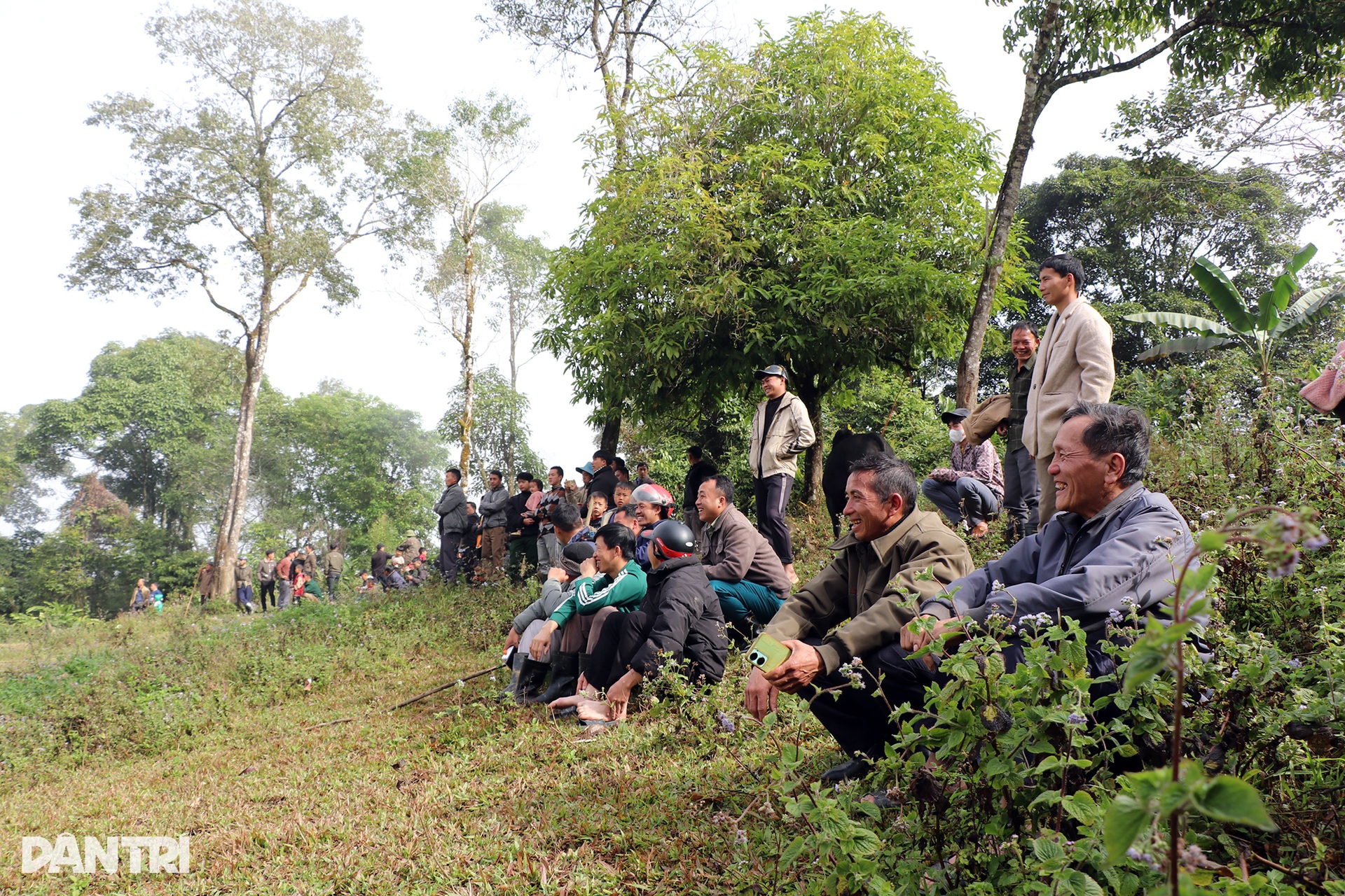 Ngày xuân, lên núi xem bò chận - 10