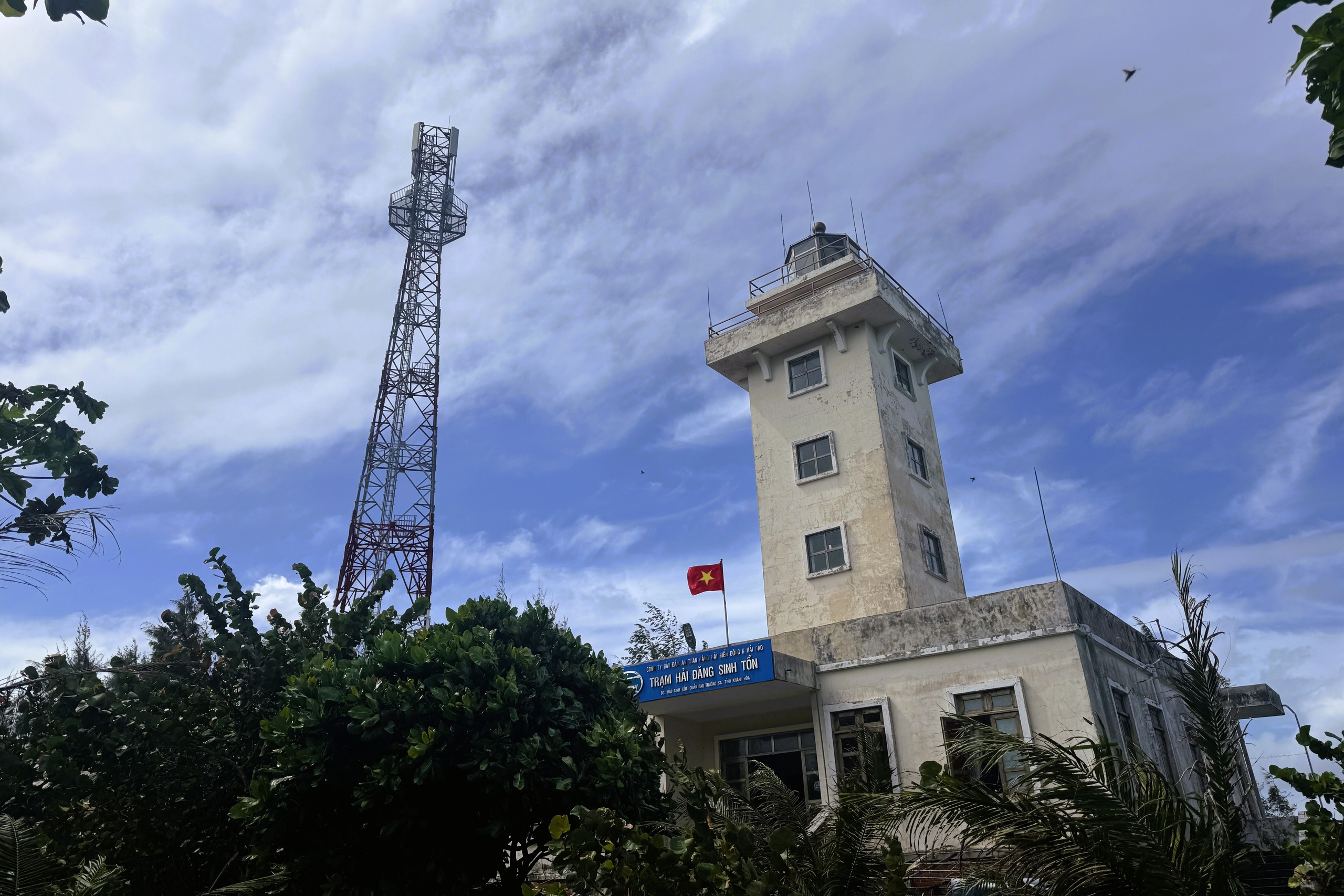 Tết ở Trường Sa - Kỳ 7: Sinh Tồn xanh xanh- Ảnh 6.